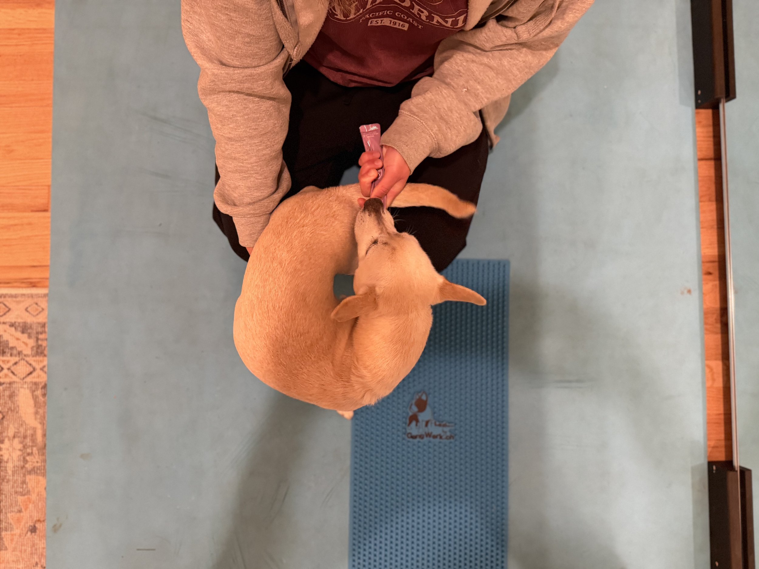 Cookie Stretches