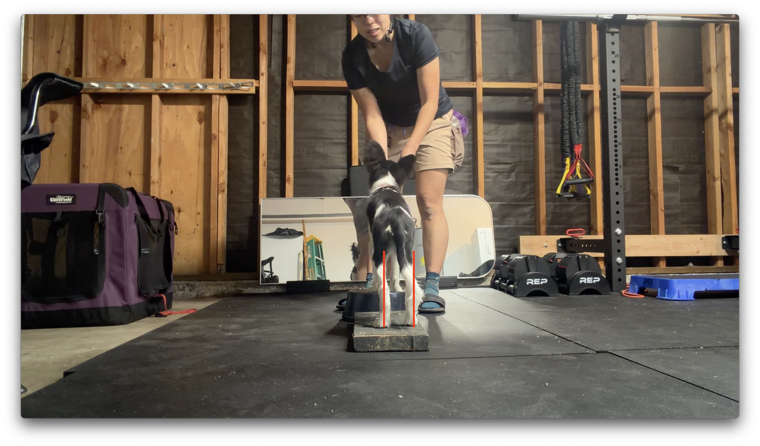 Zuko Pivot Step Off-Step On