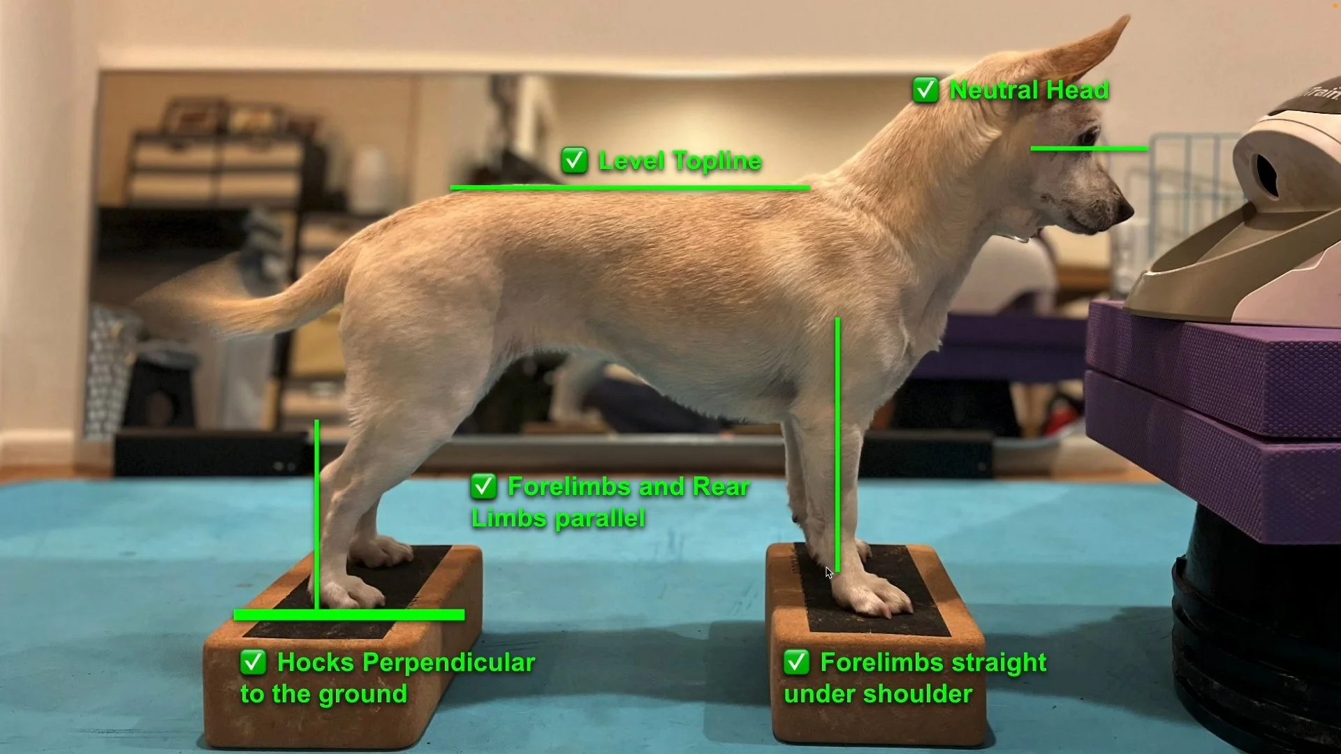 Proper Form
