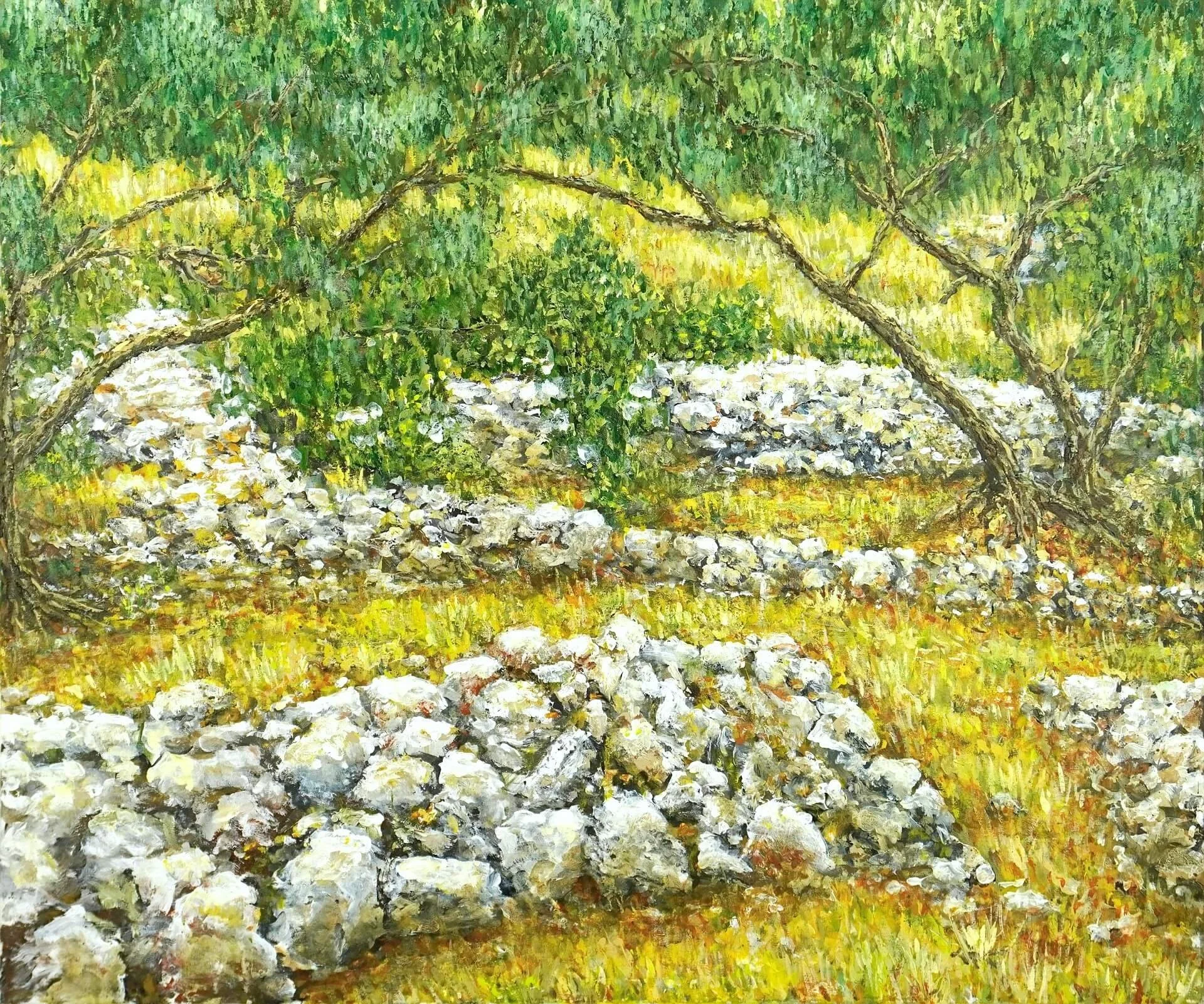 Landschaftsgemälde mit dem Titel: Mediterrane Stille. Zu sehen sind Olivenbäume in silbrig- grünen Farbtönen- mit Steinmauern im Spätsommer. Sehr auffallend sind die goldgelbe Gräser Acryl auf Leinwand.105 x 125cm