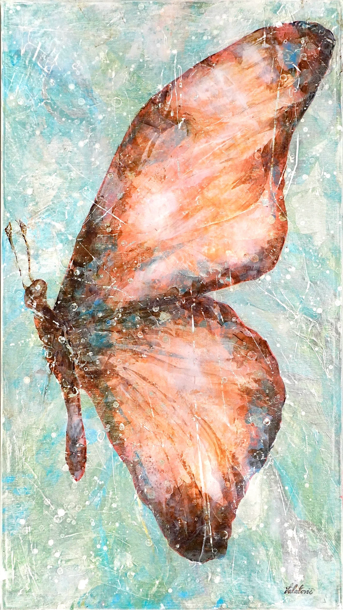 Ein wunderschöner Schmetterling