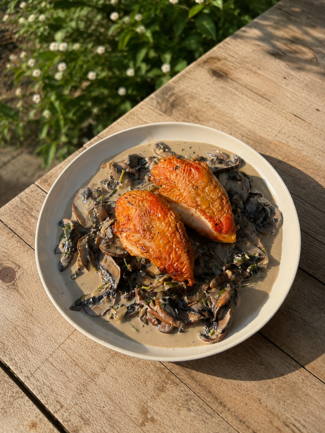 Crispy Chicken with Tarragon &amp; Mushroom Sauce