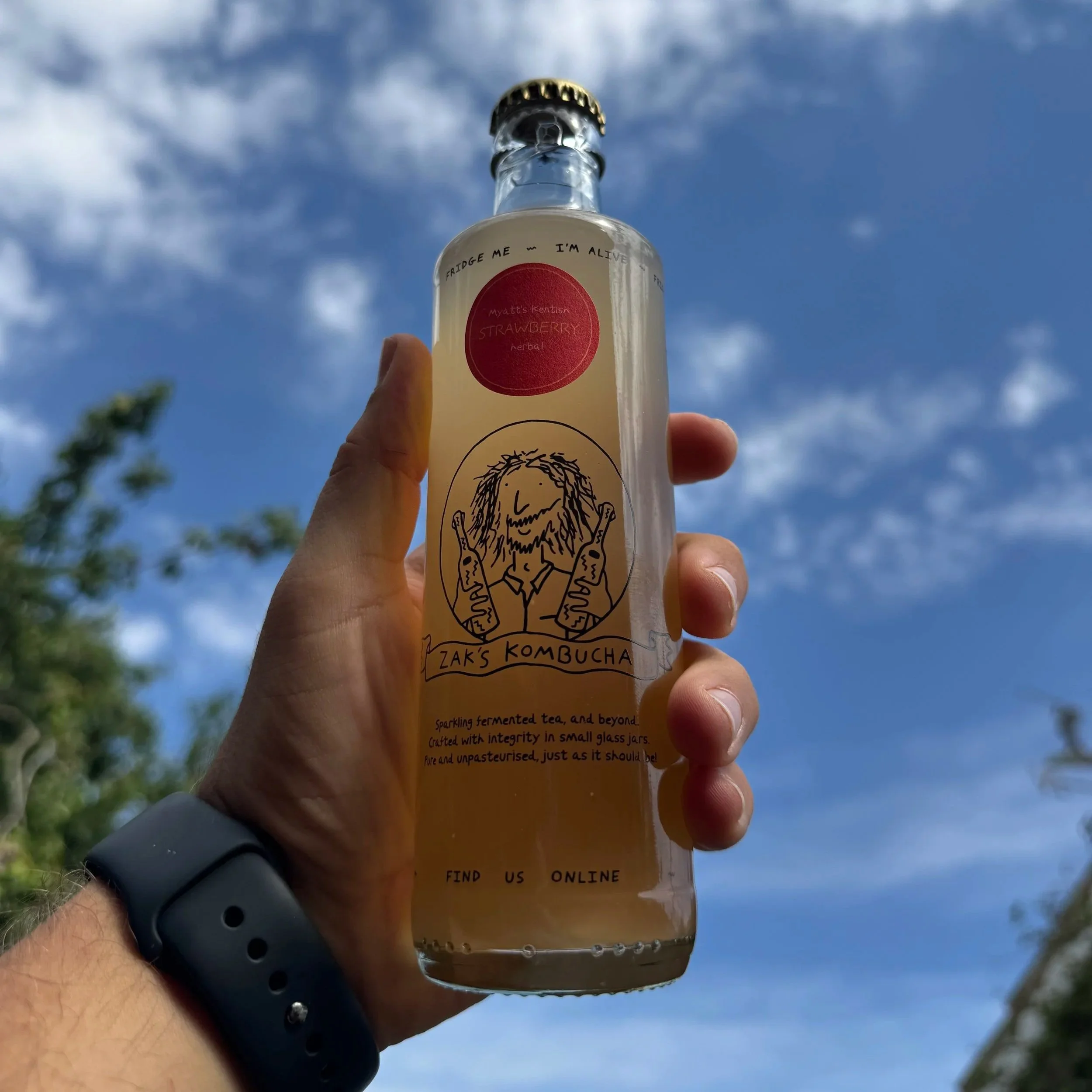 Zaks Kombucha