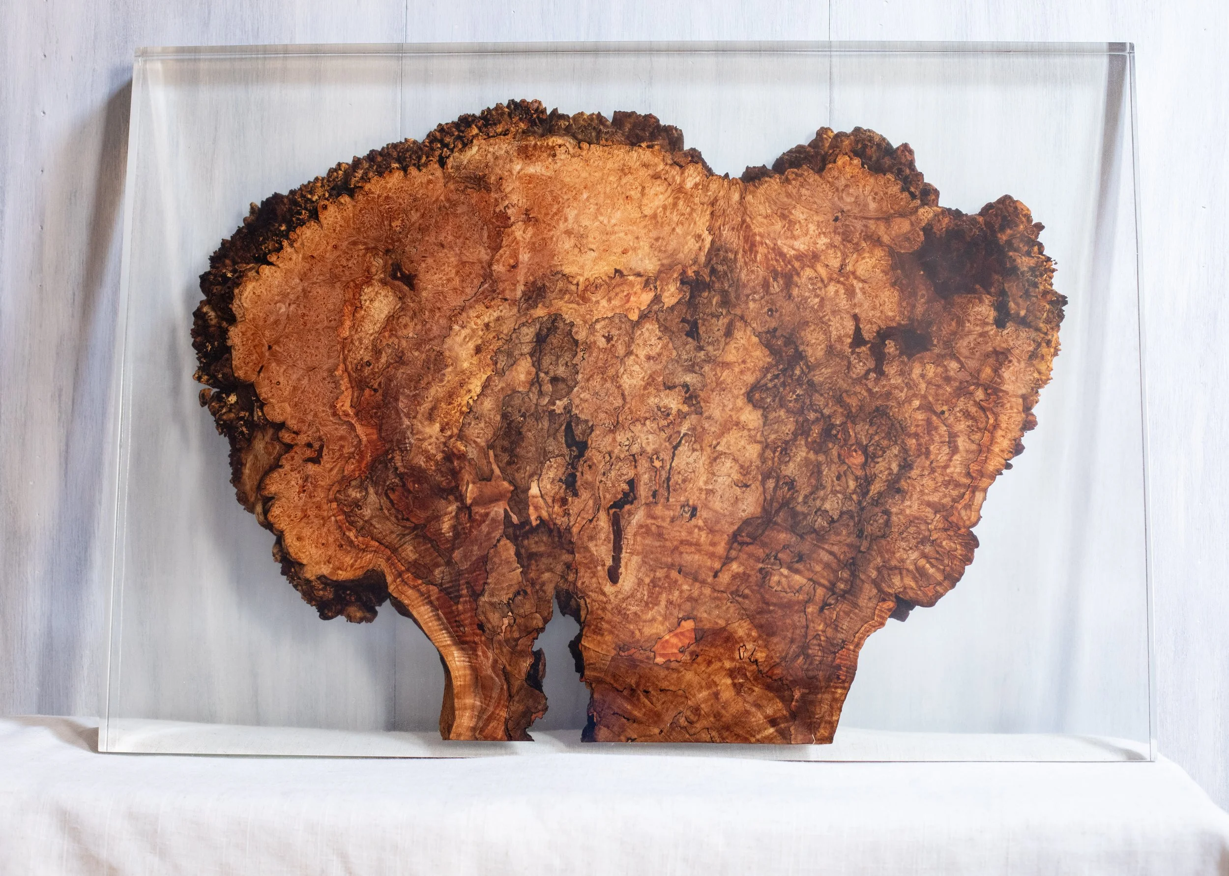 Live Edge Spalted Maple