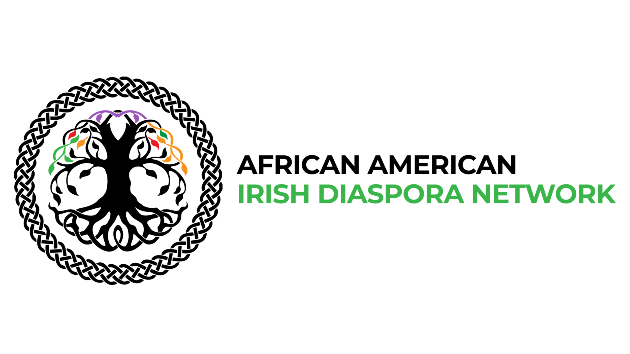 Logo of the Irish Diaspora Network featuring a stylized rainbow-colored arch and the text "IRISH DIASPORA NETWORK" in green.