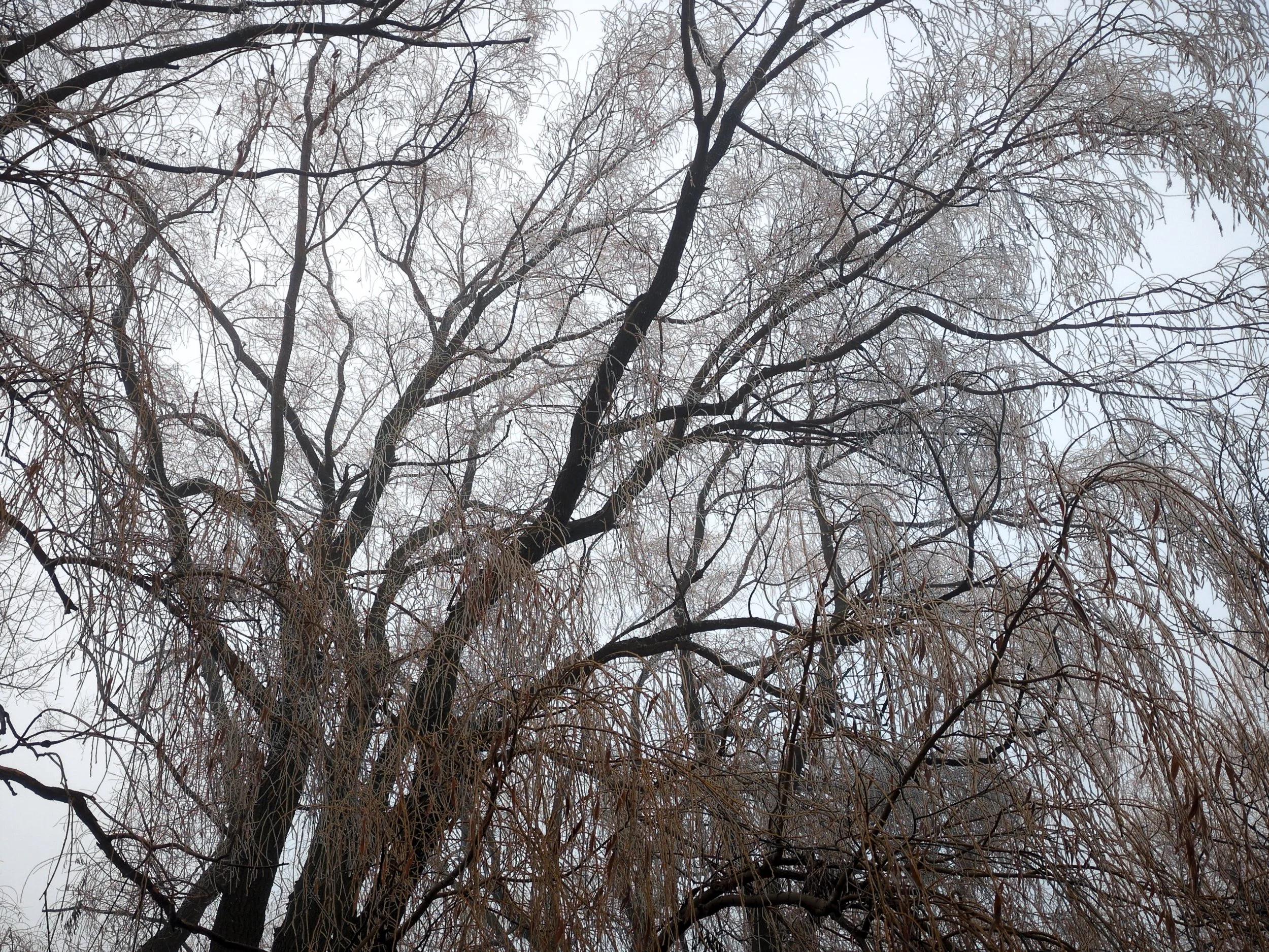 LRM_20241229_102415.jpg