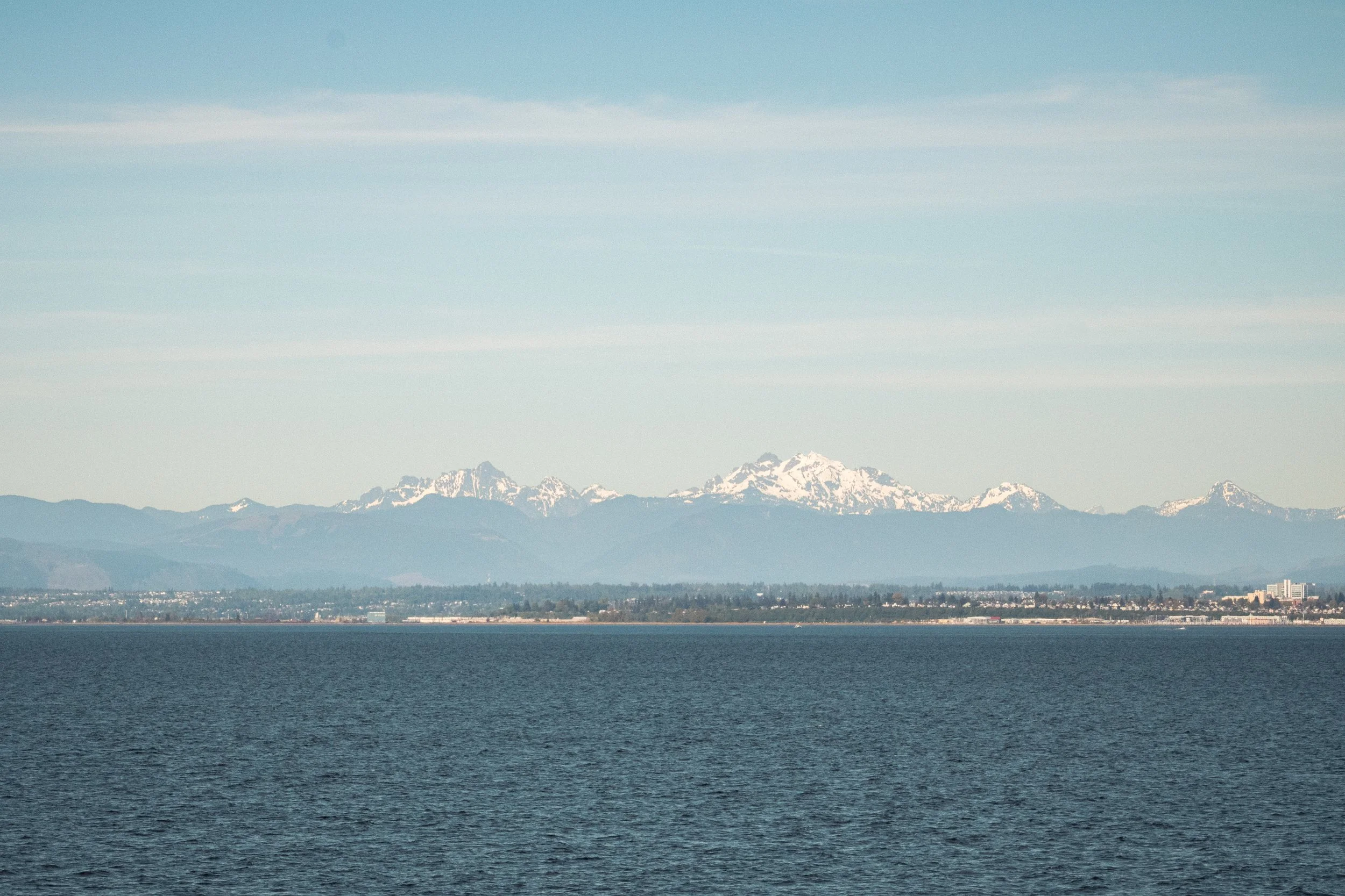 _MG_5534.jpg
