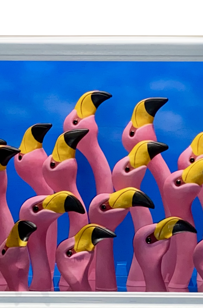 Flamingos
