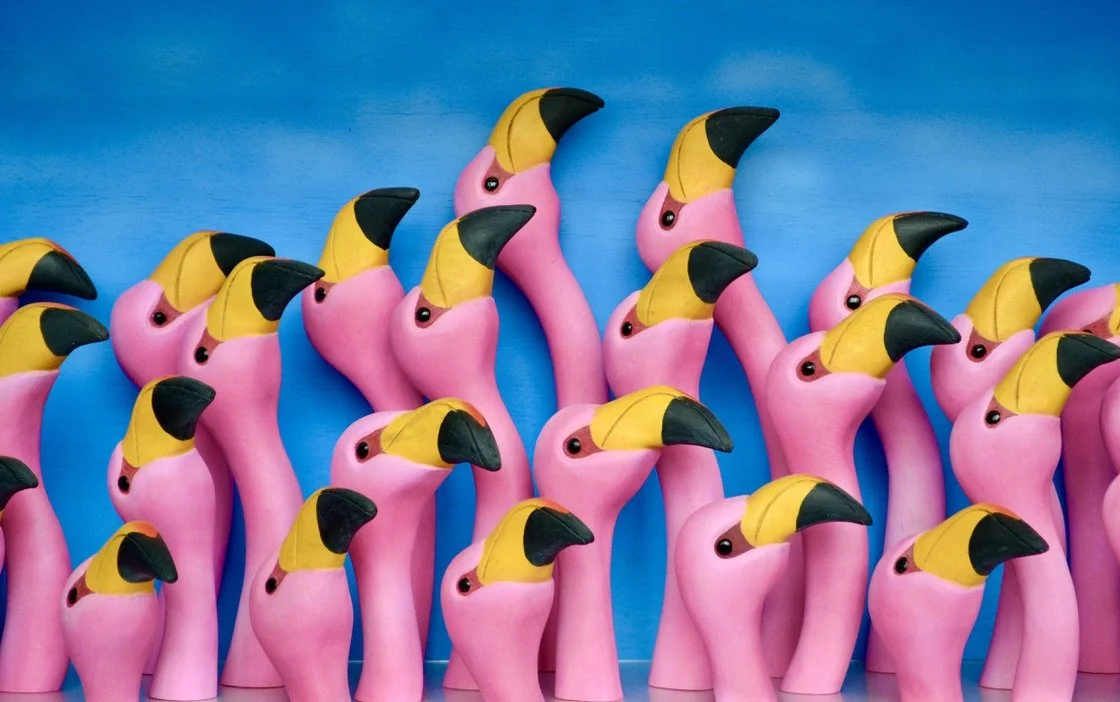 Flamingos