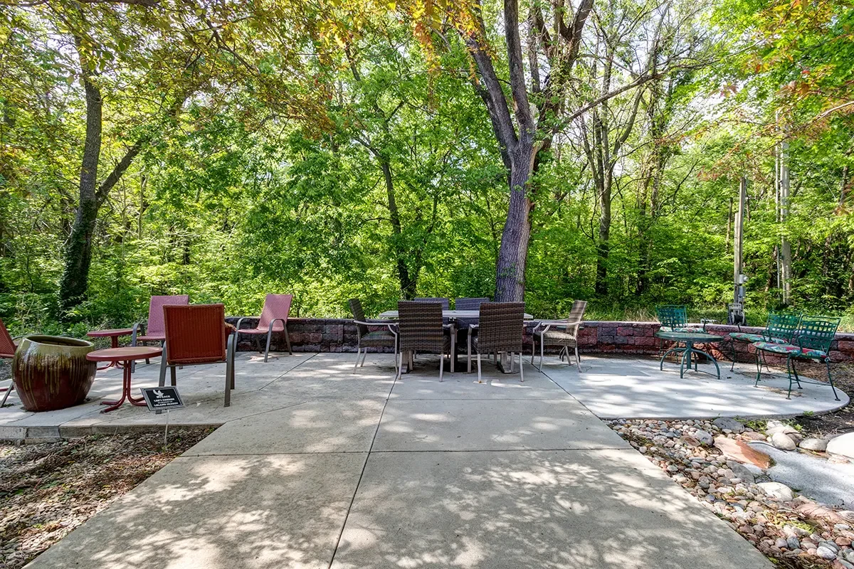 Outdoor patio area with tables and chairs surrounded by trees and greenery