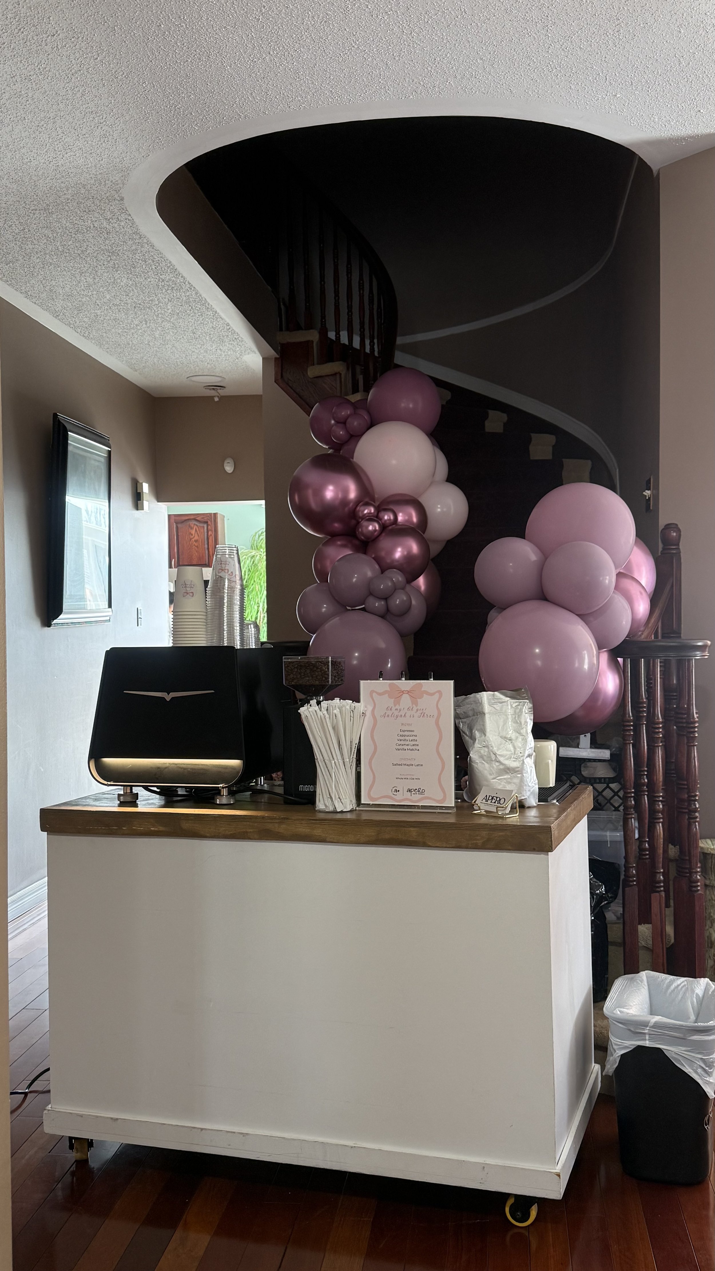 Aaliyah’s 3’rd Birthday Party
