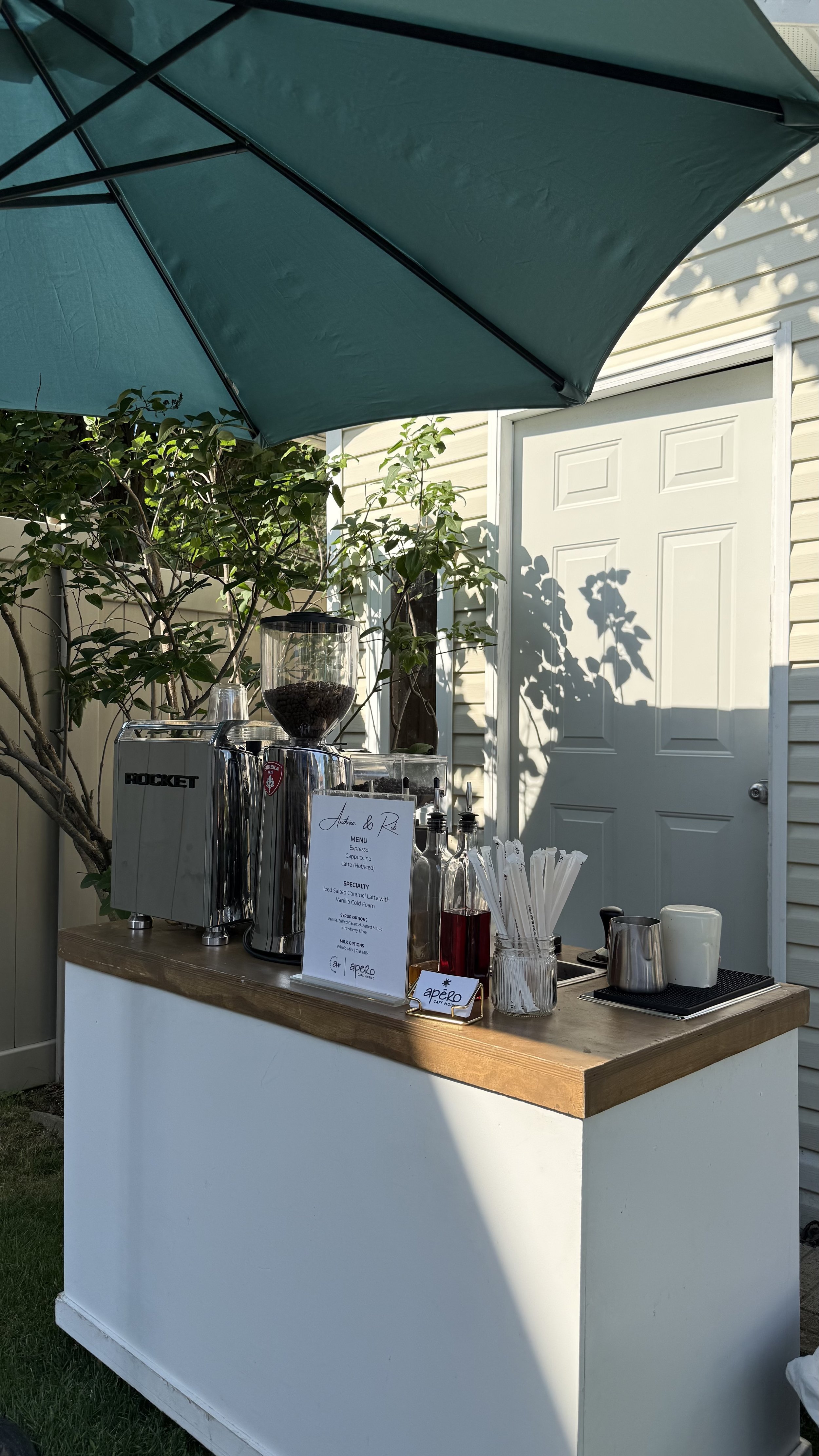 Andrea's Surprise Backyard Wedding
