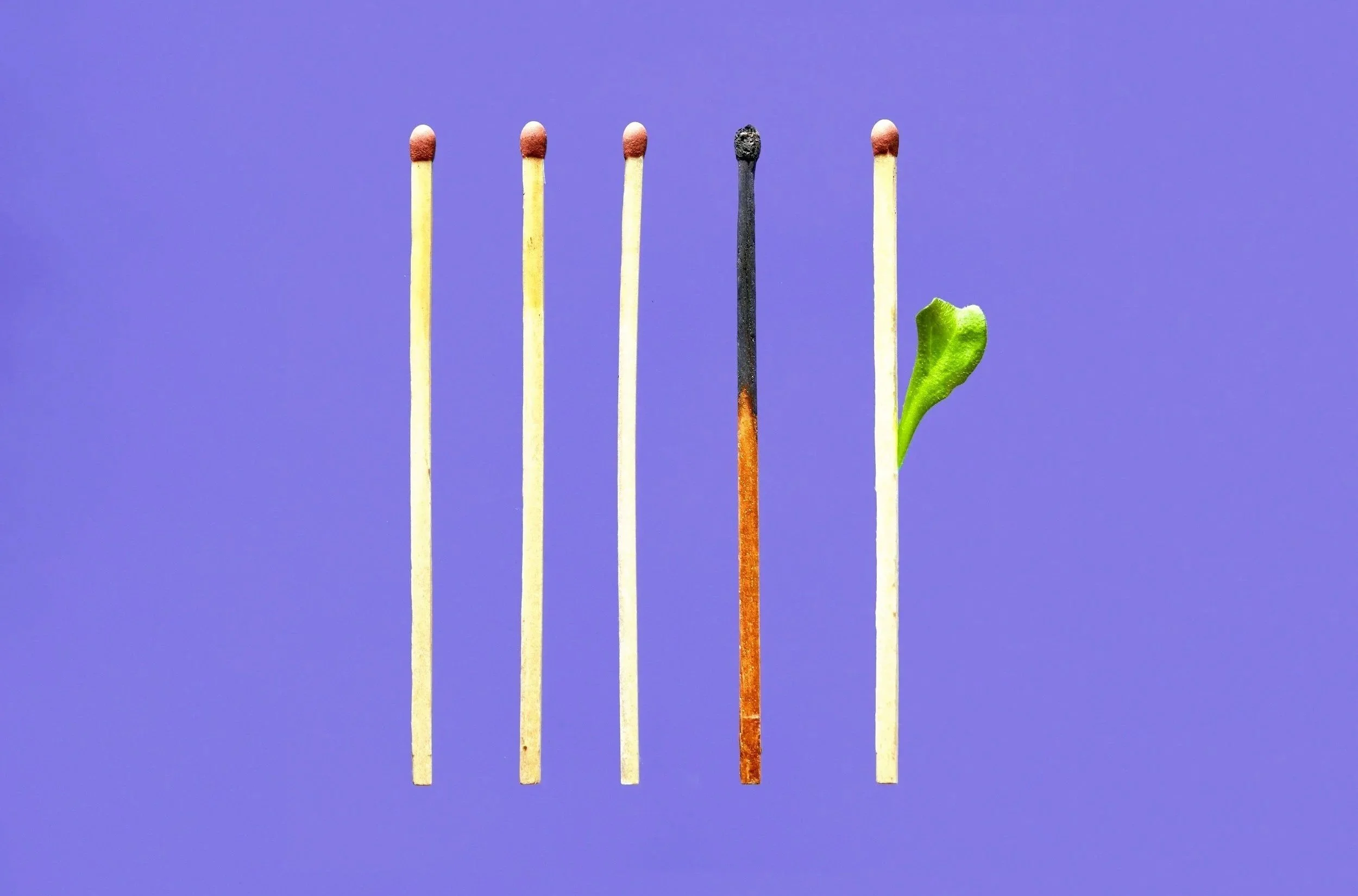 Symbolism for transformation with a row of five matches, one burnt match and a small green leaf sprouting from the last match signaling growth and transformation.