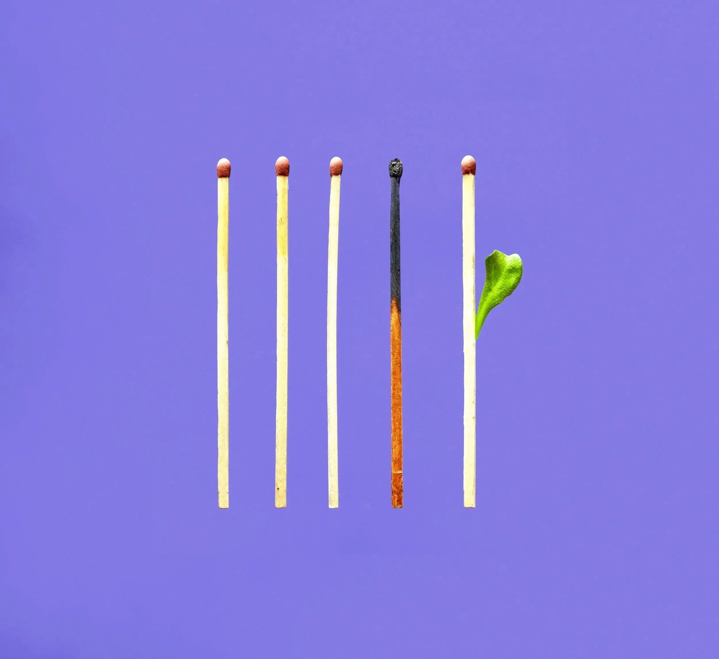 Symbolism for transformation with a row of five matches, one burnt match and a small green leaf sprouting from the last match signaling growth and transformation.