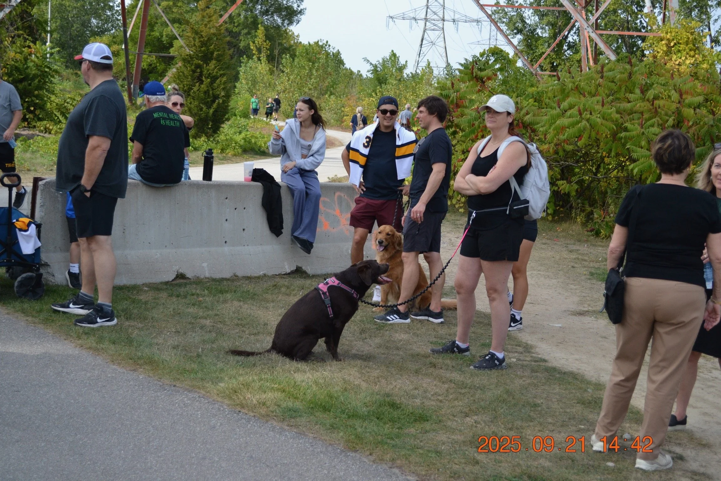 2025 Walk to the Lighthouse - 312 of 1152.jpeg