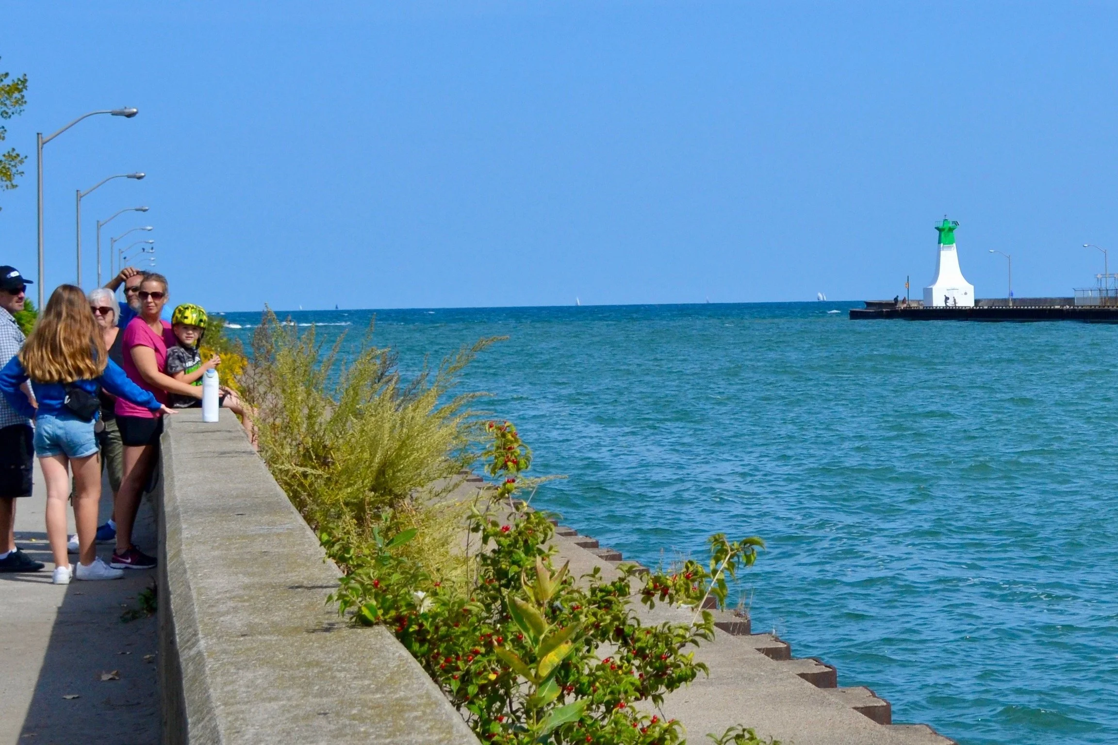 2025 Walk to the Lighthouse - 904 of 1152.jpeg