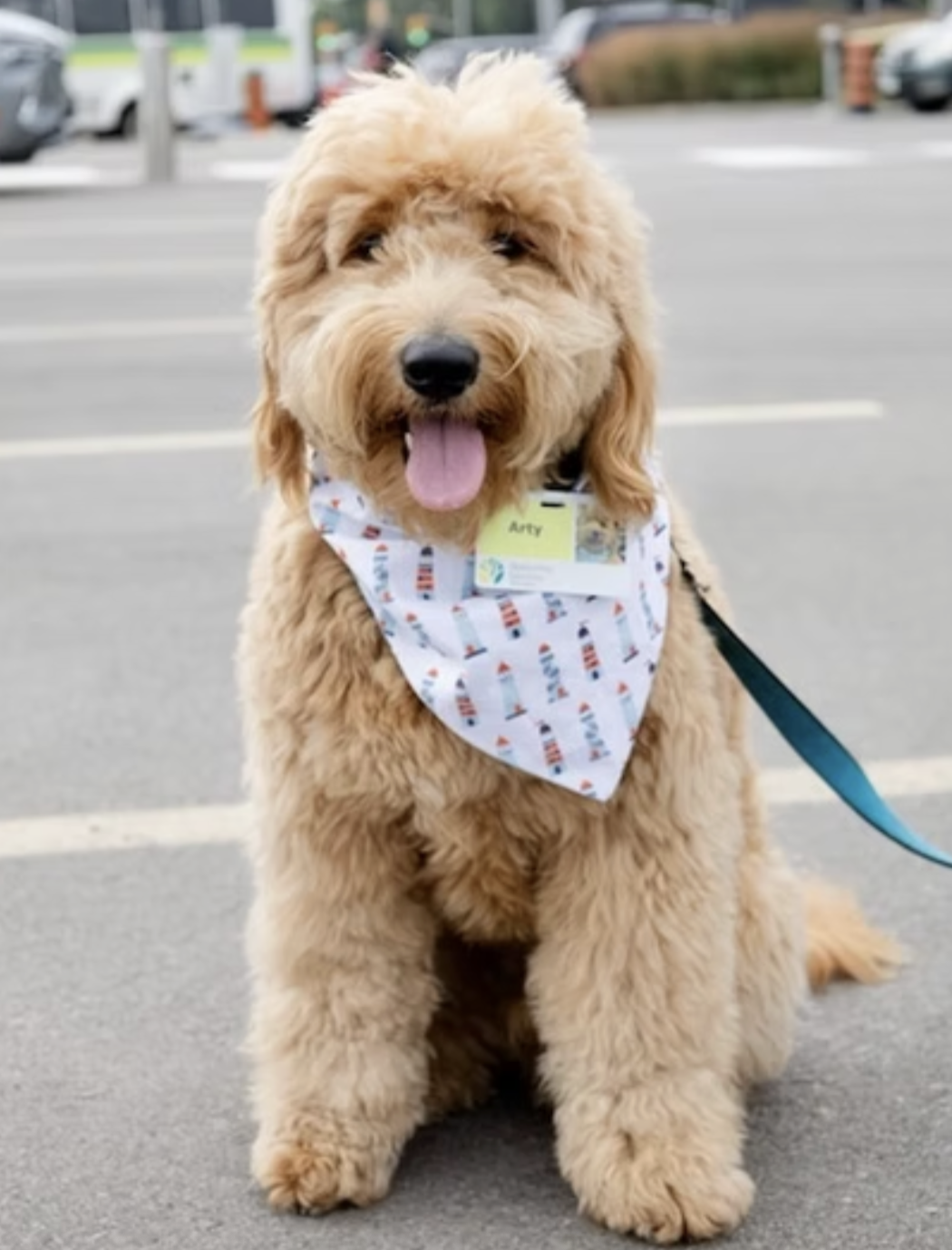 Screenshot 2026-01-11 at 3.46.17 PM.png