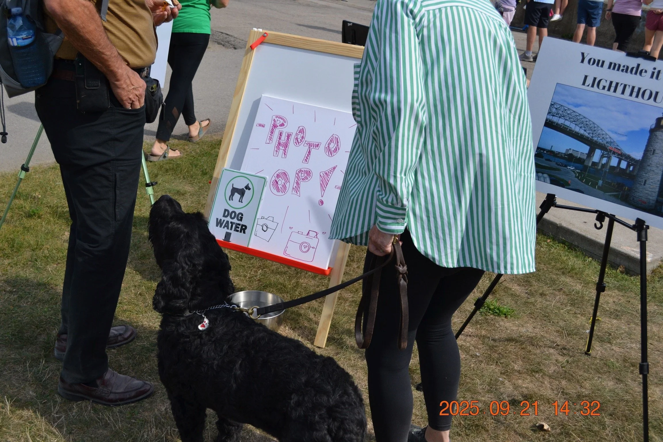 2025 Walk to the Lighthouse - 276 of 1152.jpeg