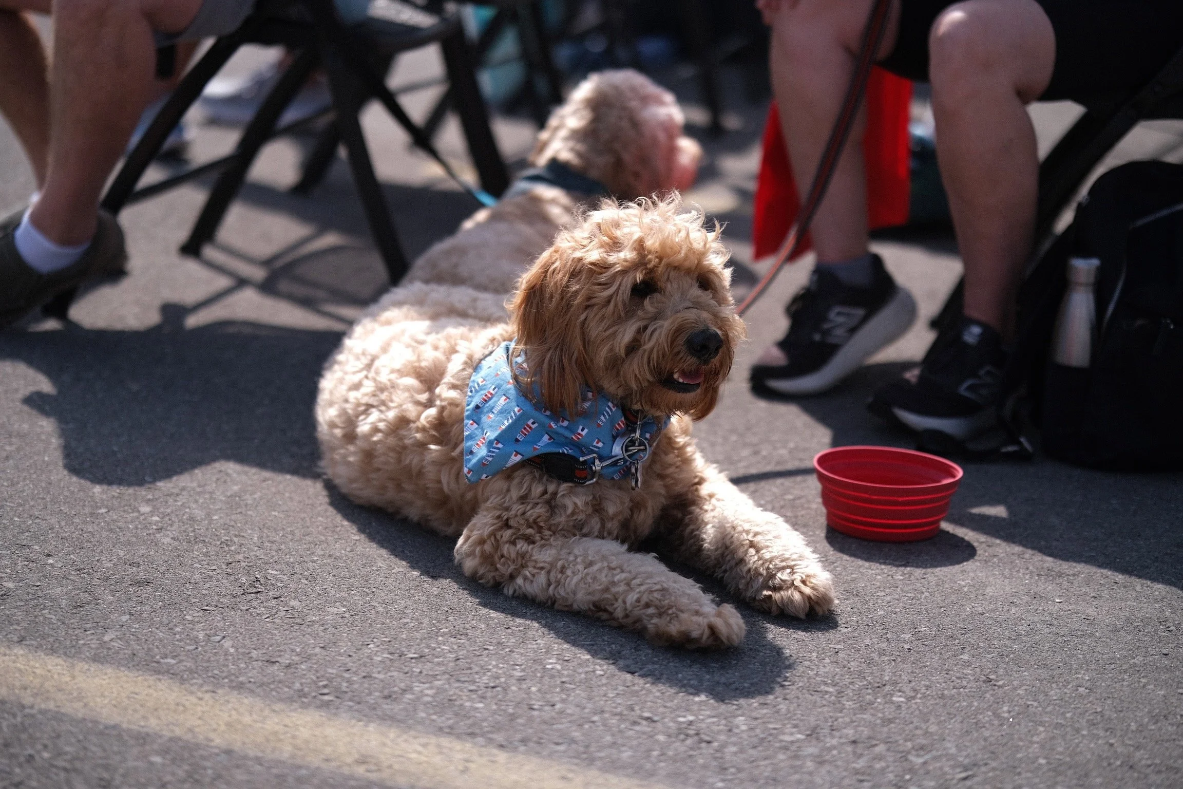 2025 Walk to the Lighthouse - 837 of 1152.jpeg