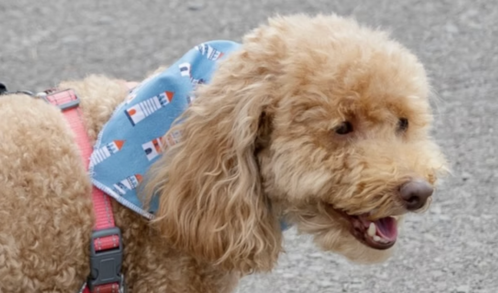 Screenshot 2026-01-11 at 3.46.39 PM.png