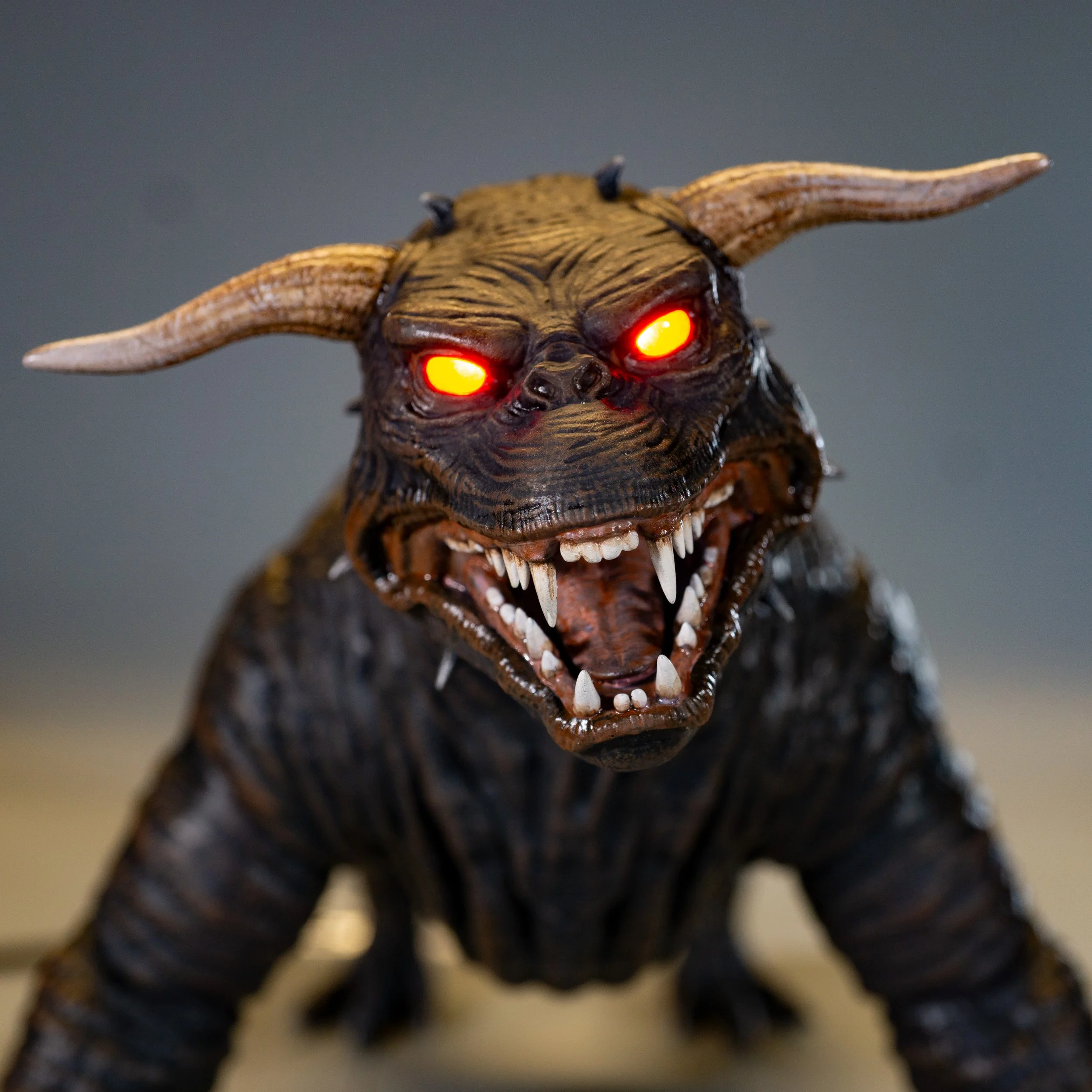 Product Shots Dog 2.jpg