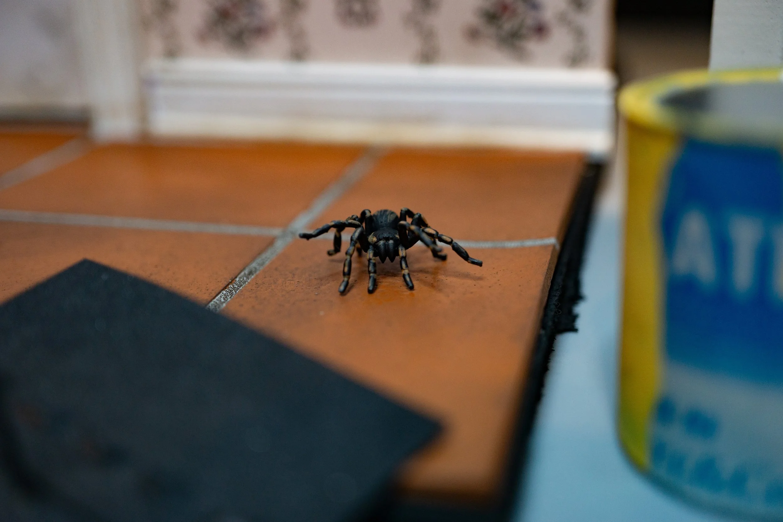 Final product shots 3.jpg