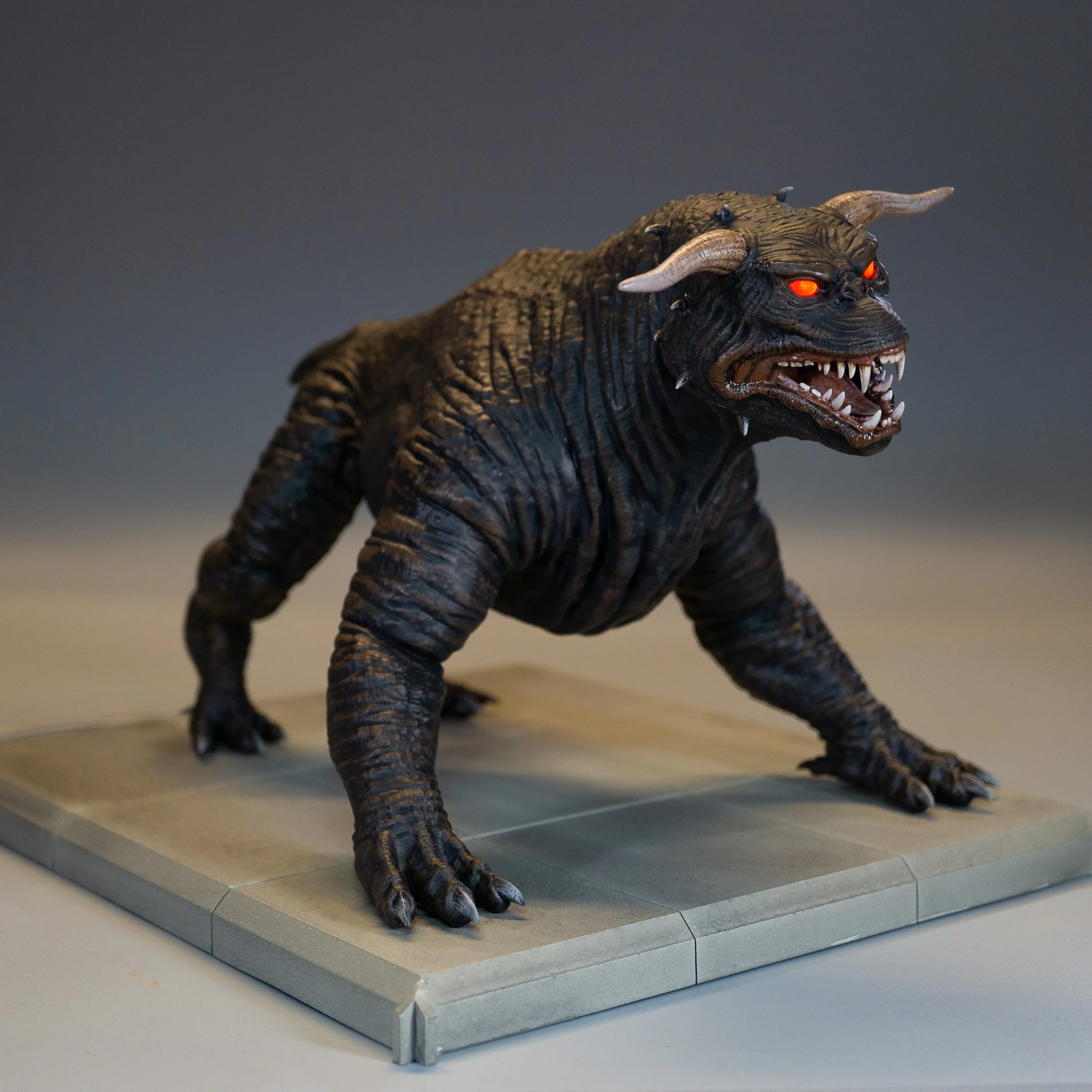 Product shots Dog 9.jpg