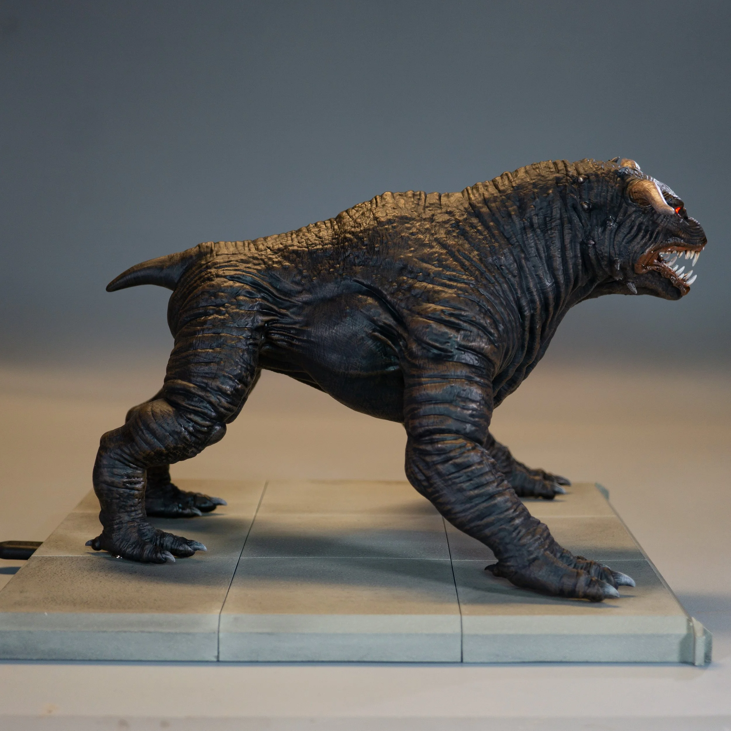 Product shots dog 8.jpg