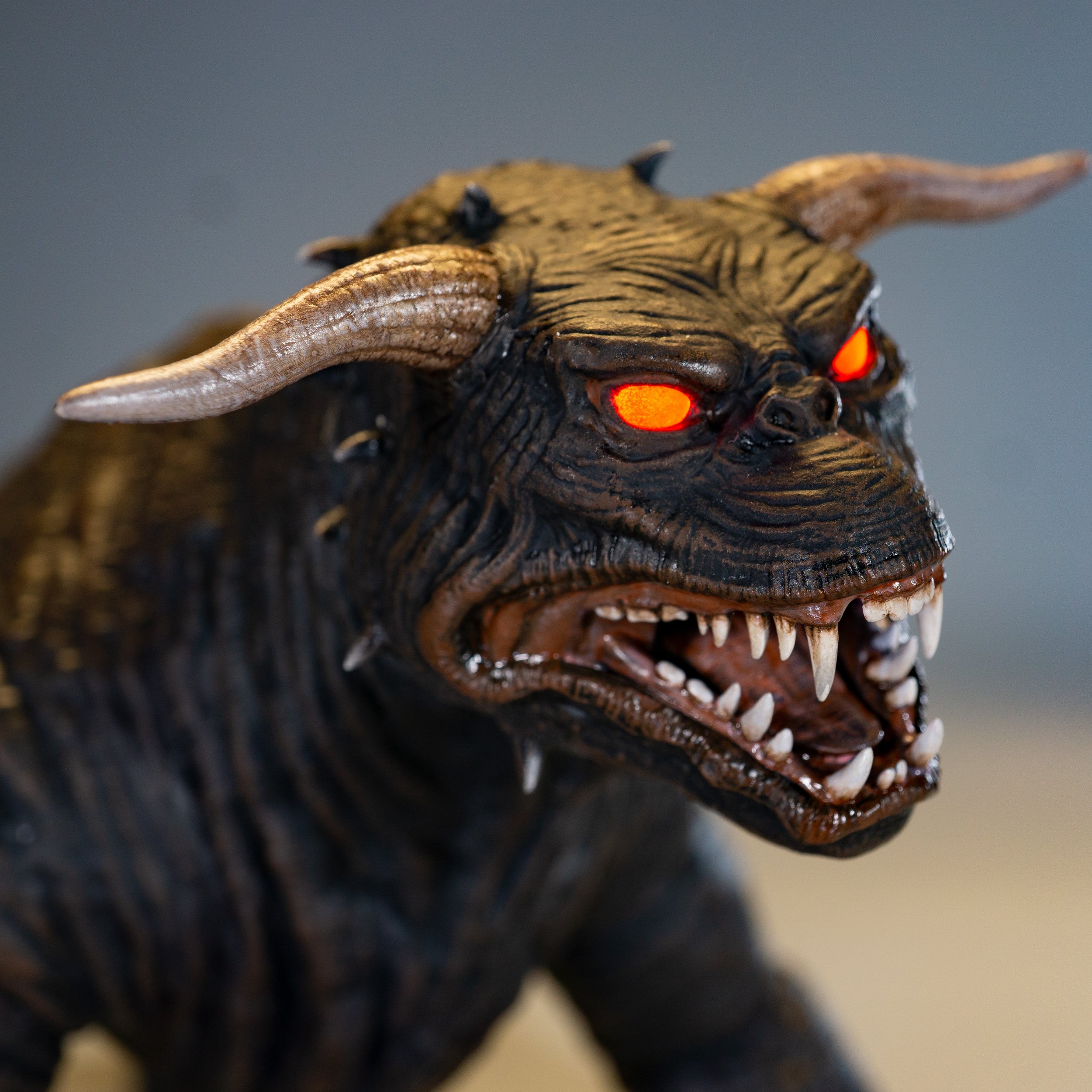 Product Shots Dog 6.jpg