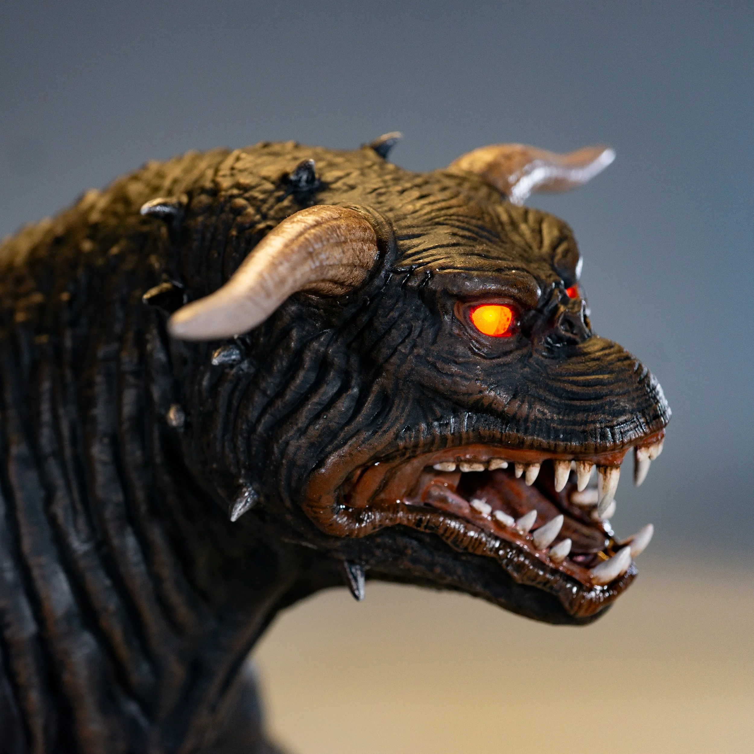 Product Shots Dog 5.jpg