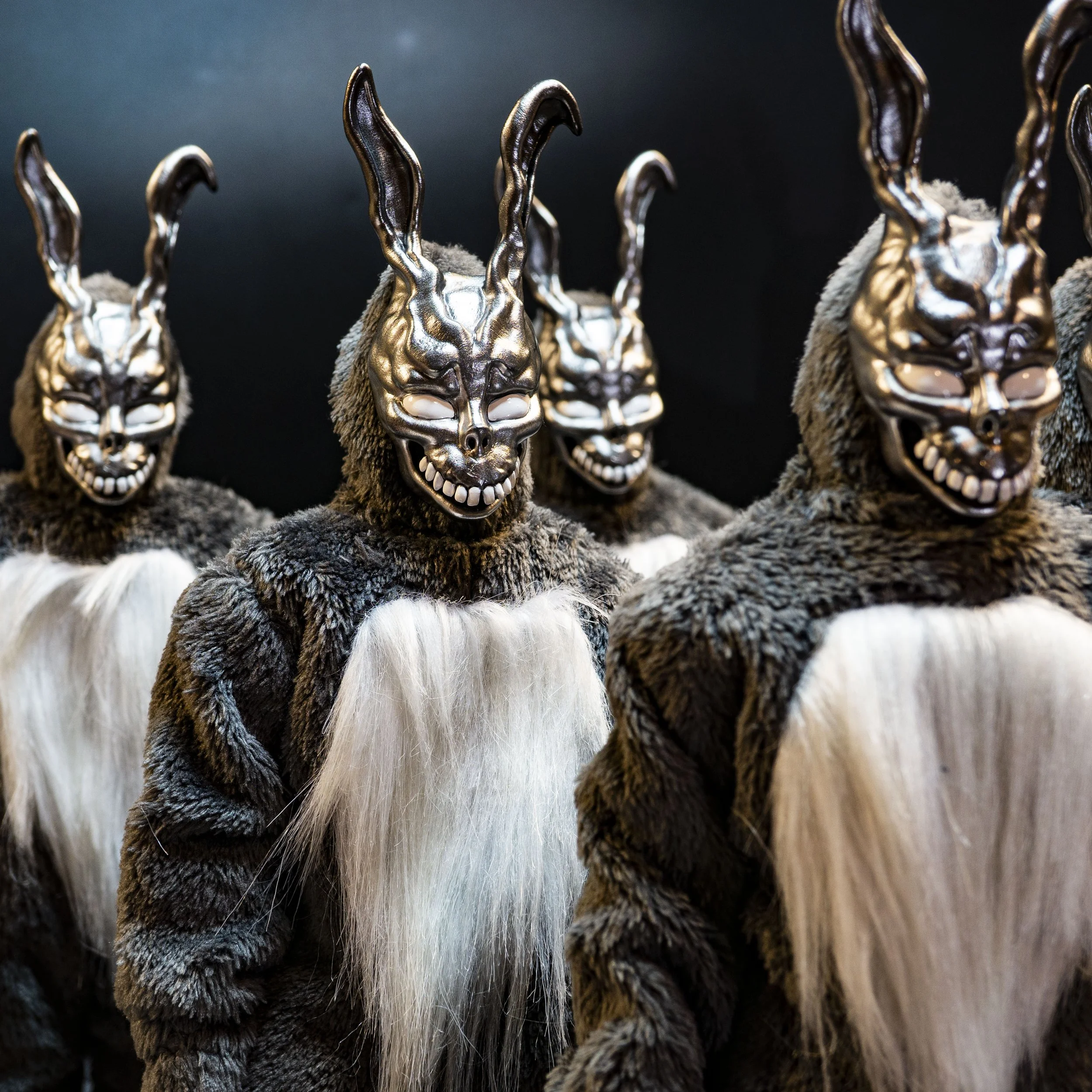 Figure photos _1.jpg