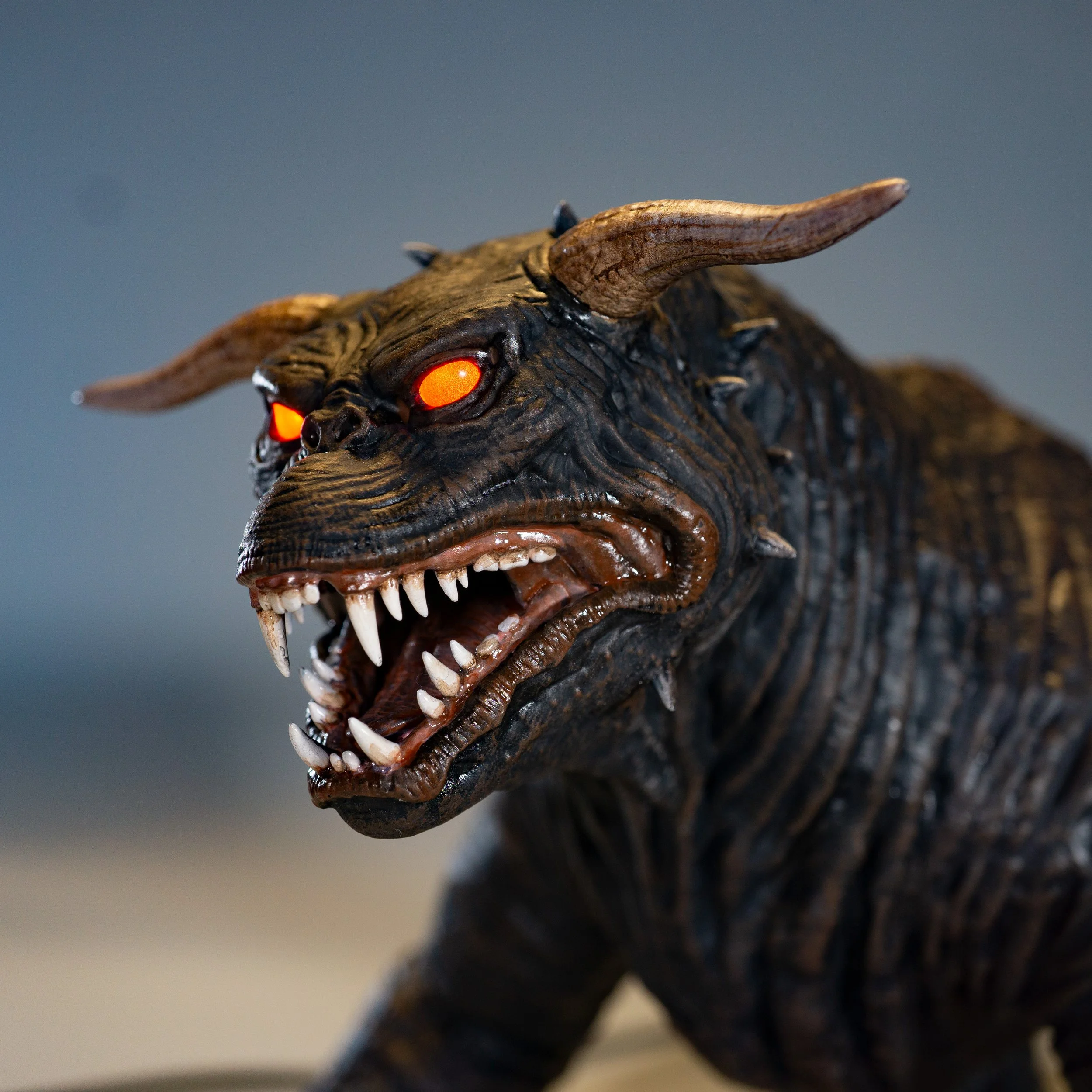 Product Shots Dog 7.jpg