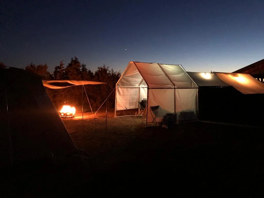 am I a sole proprietor or an s-corp?