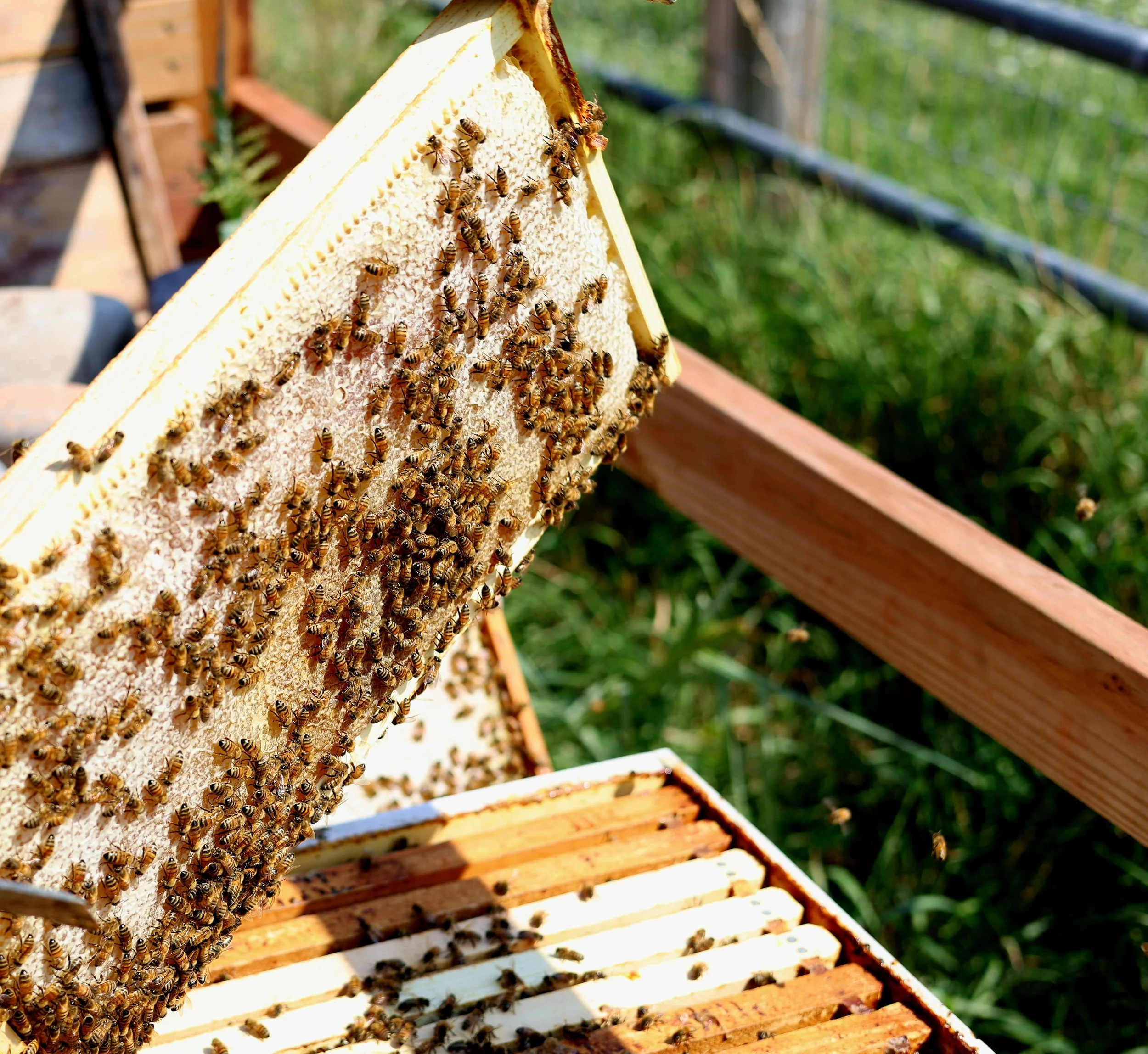 What bookkeepers wish every business owner knew 