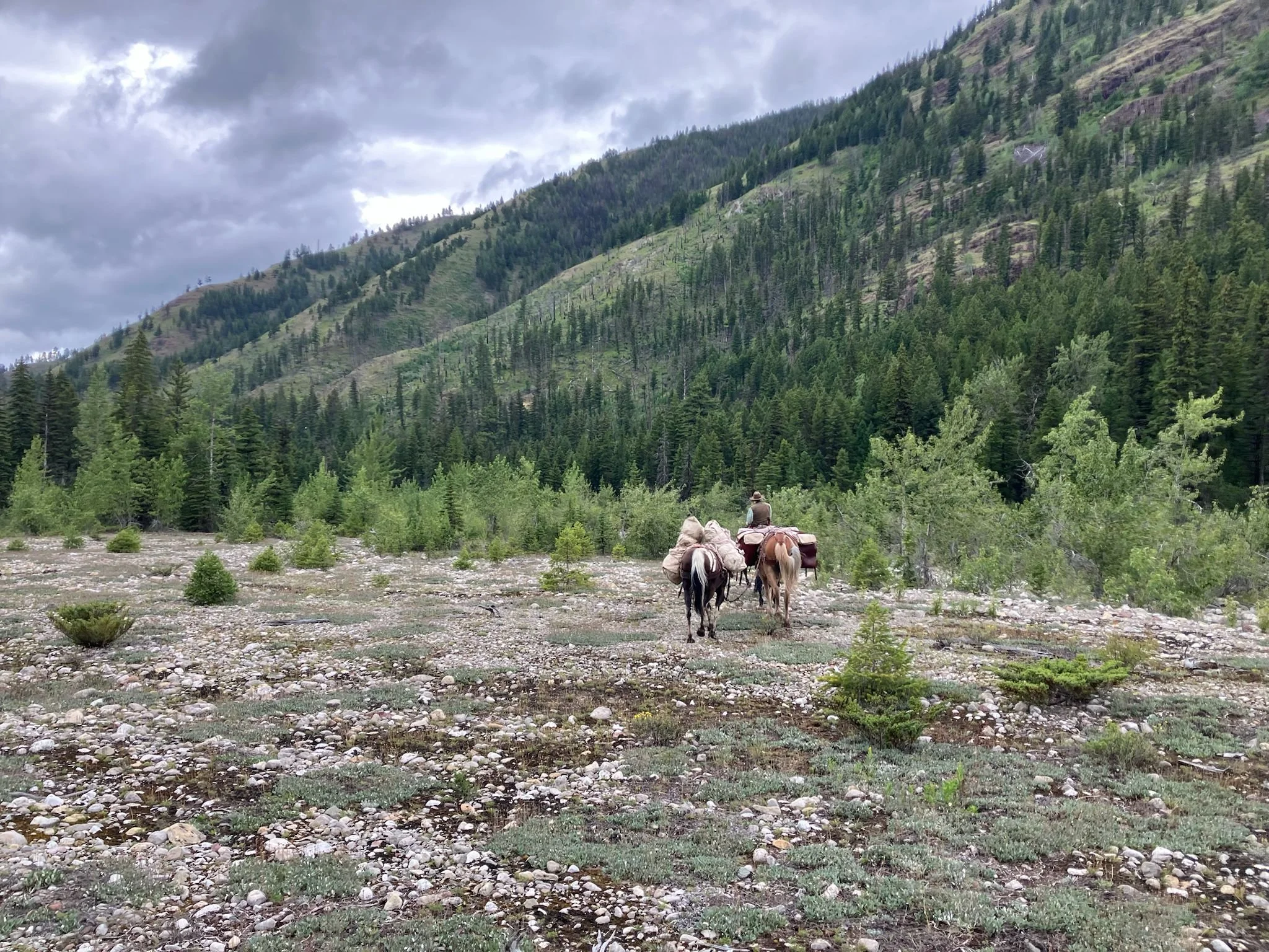 How to Read a Profit and Loss statement 