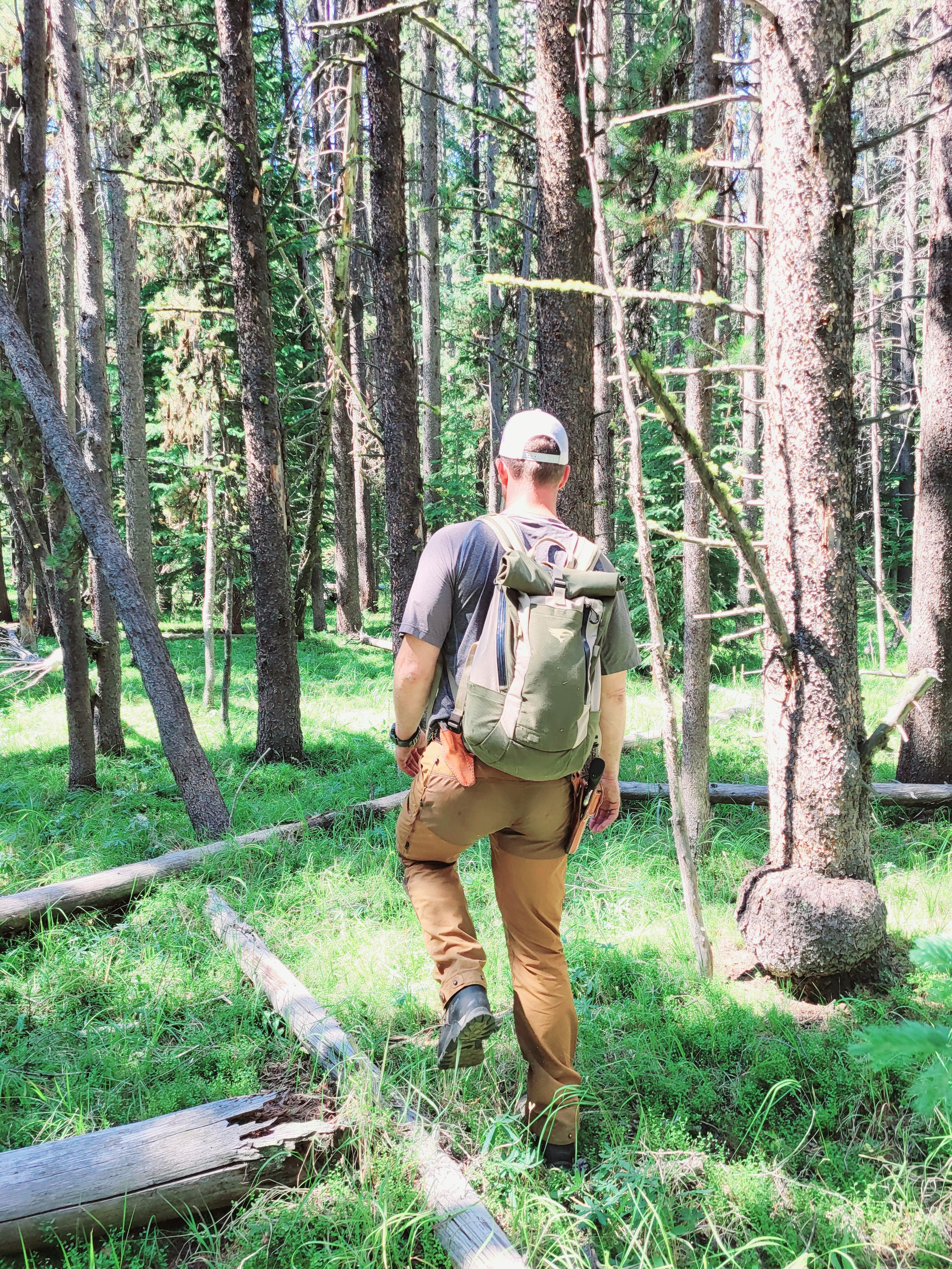 When to move in-house? 