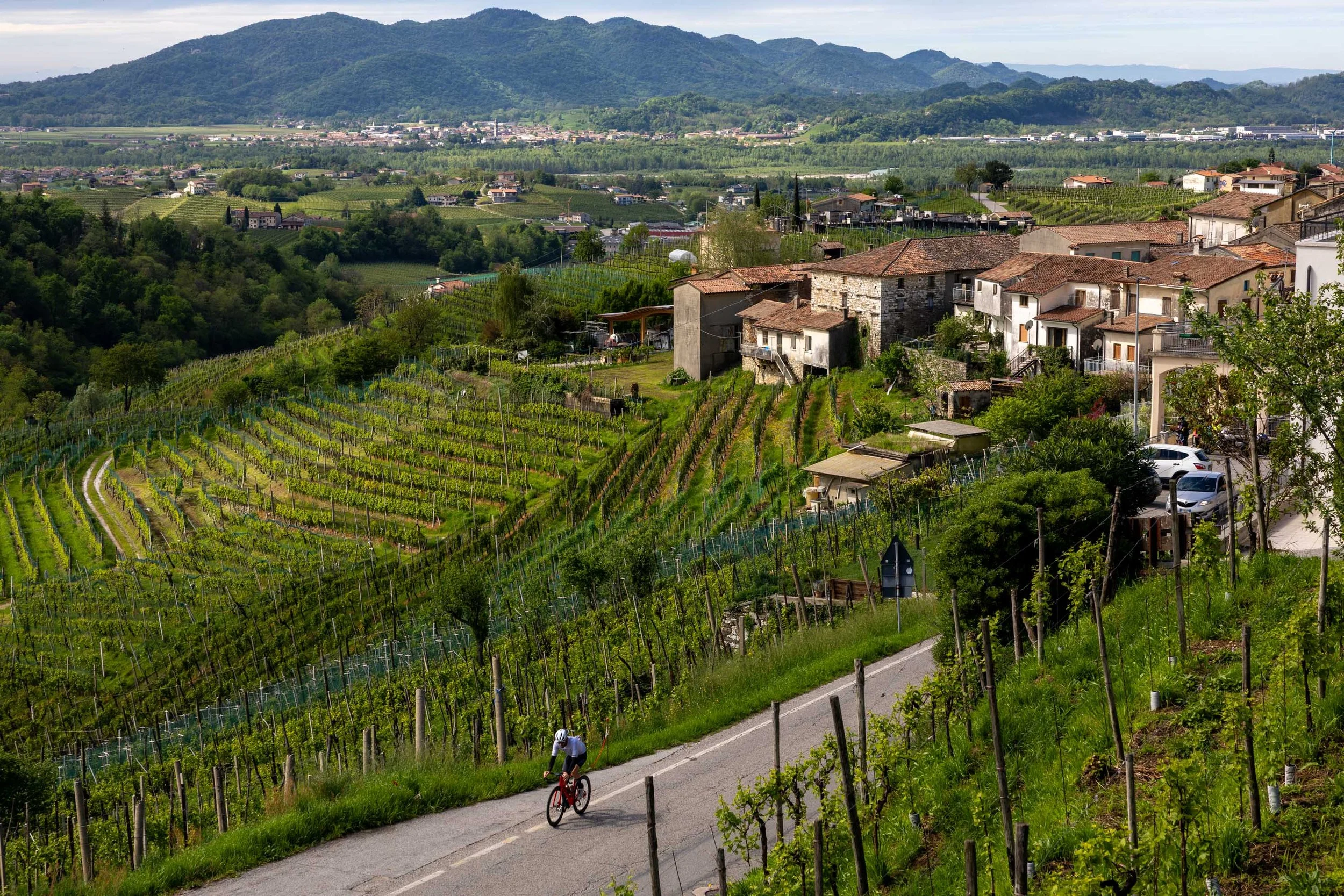 Prosecco pedaler's reverie - Valdobbiadene 🇮🇹