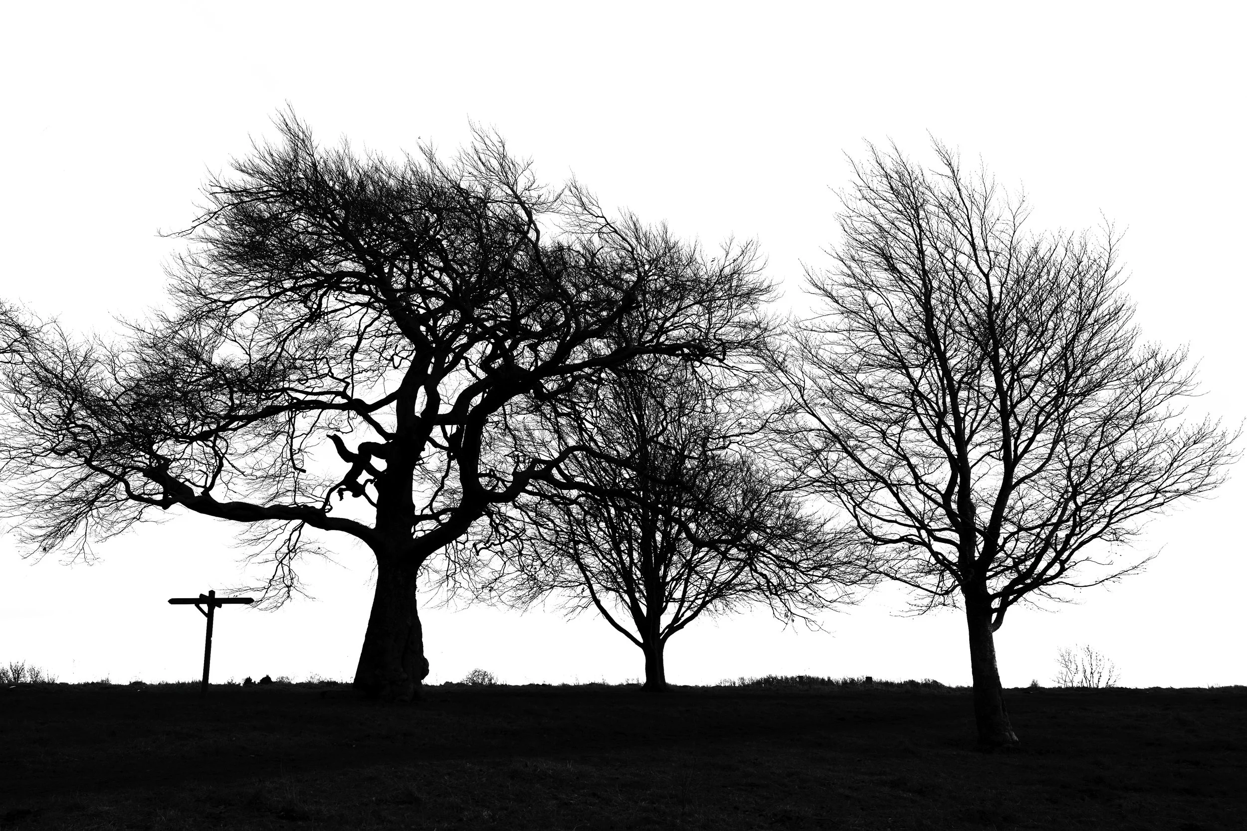 Silence - Farthing Downs 🇬🇧