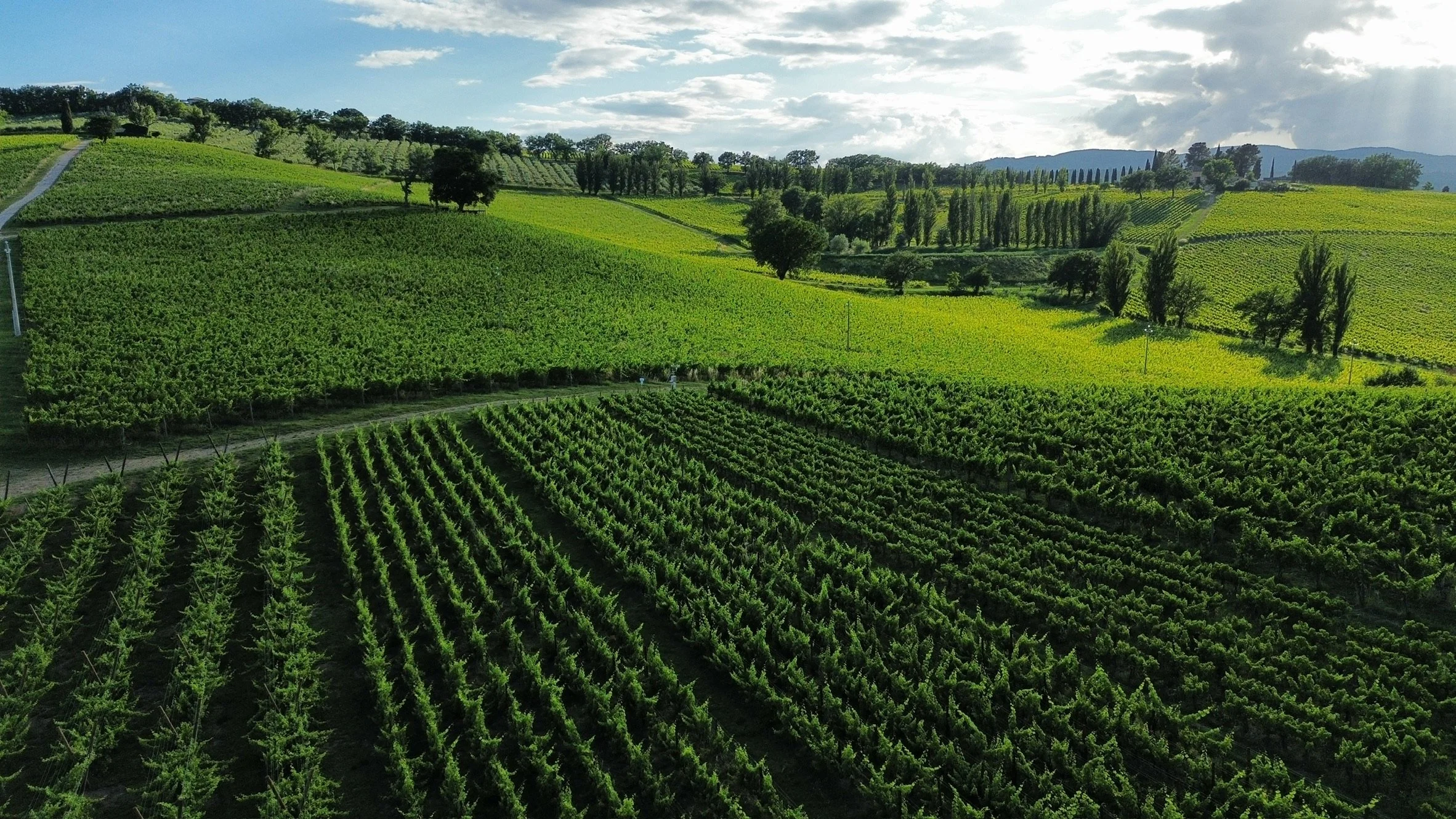 Hills of Umbria 2 - Montefalco 🇮🇹