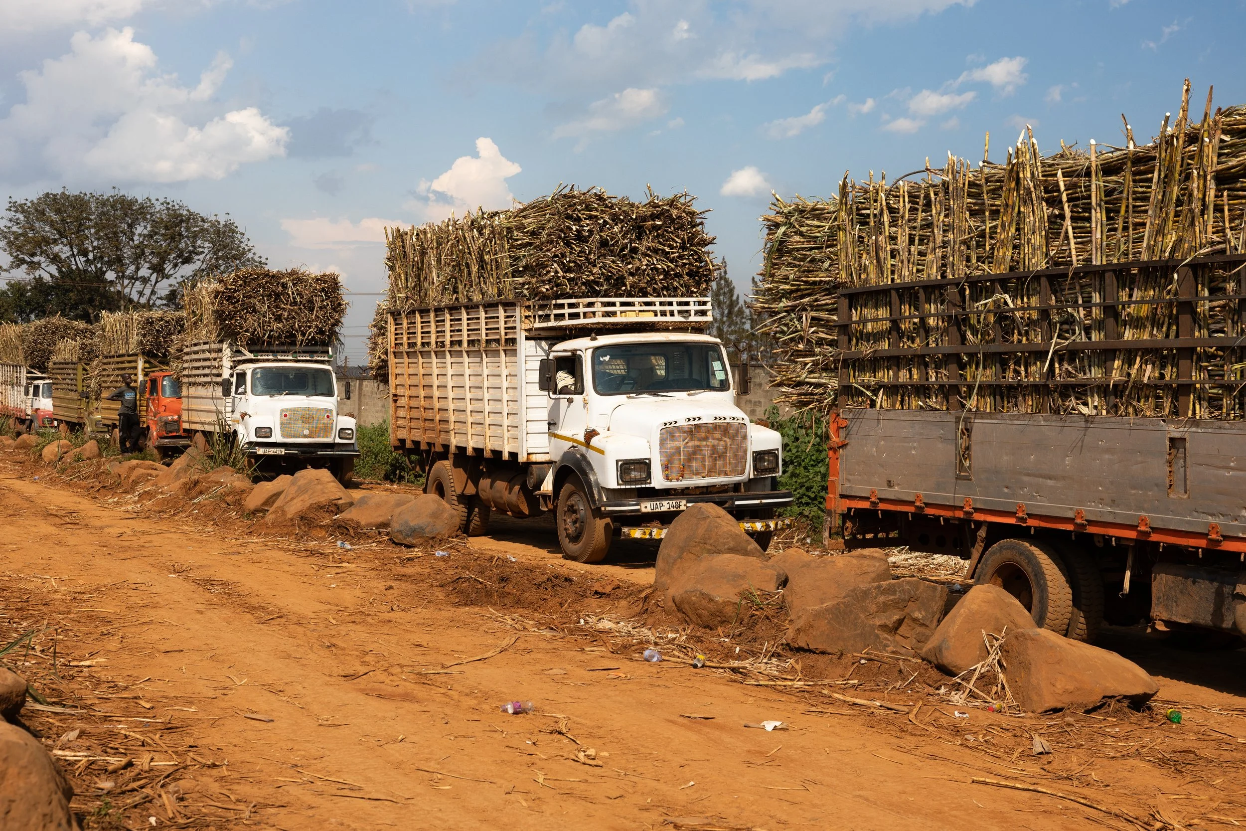 Caravans of the harvest road