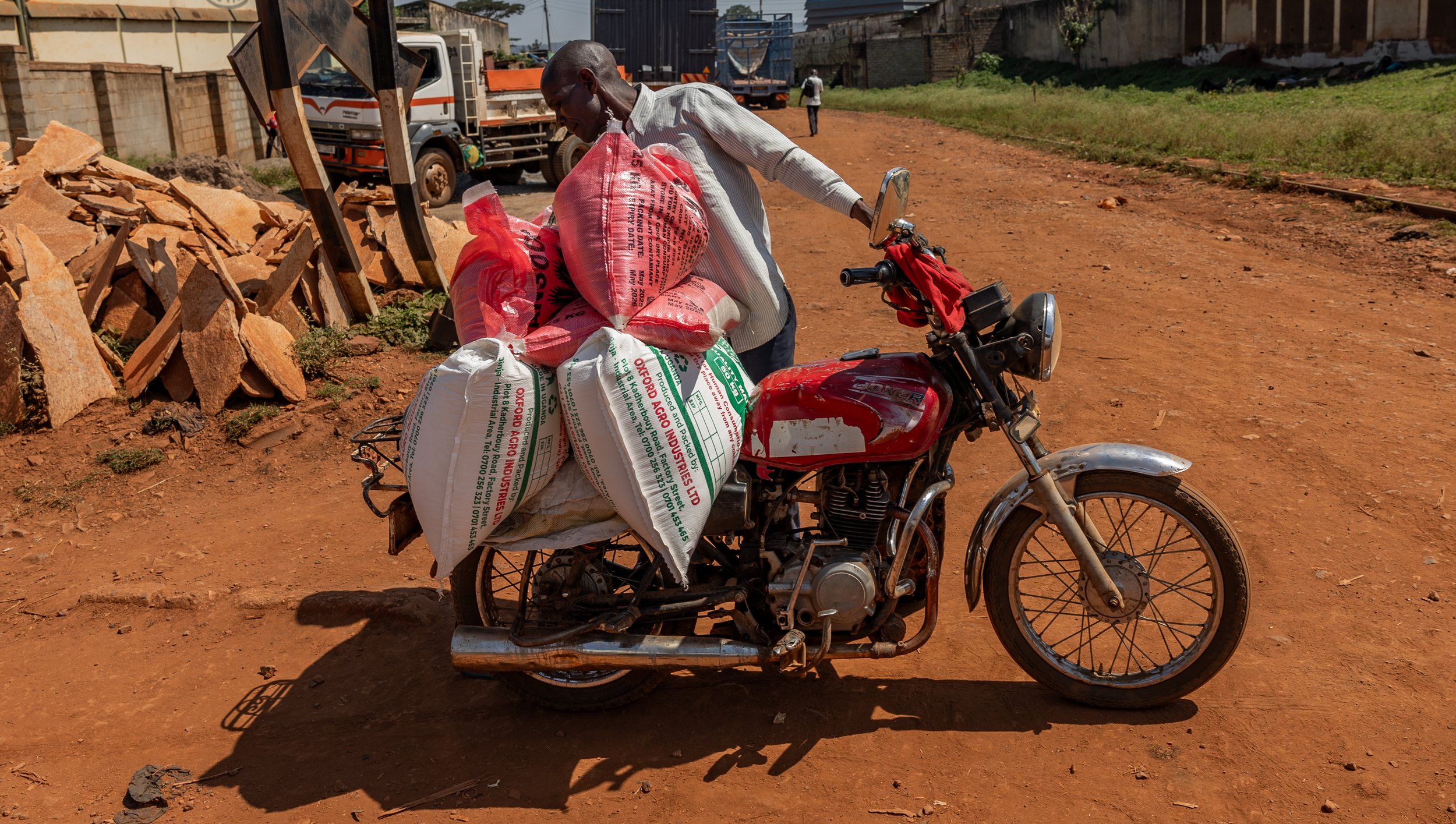 Overloaded red stallion