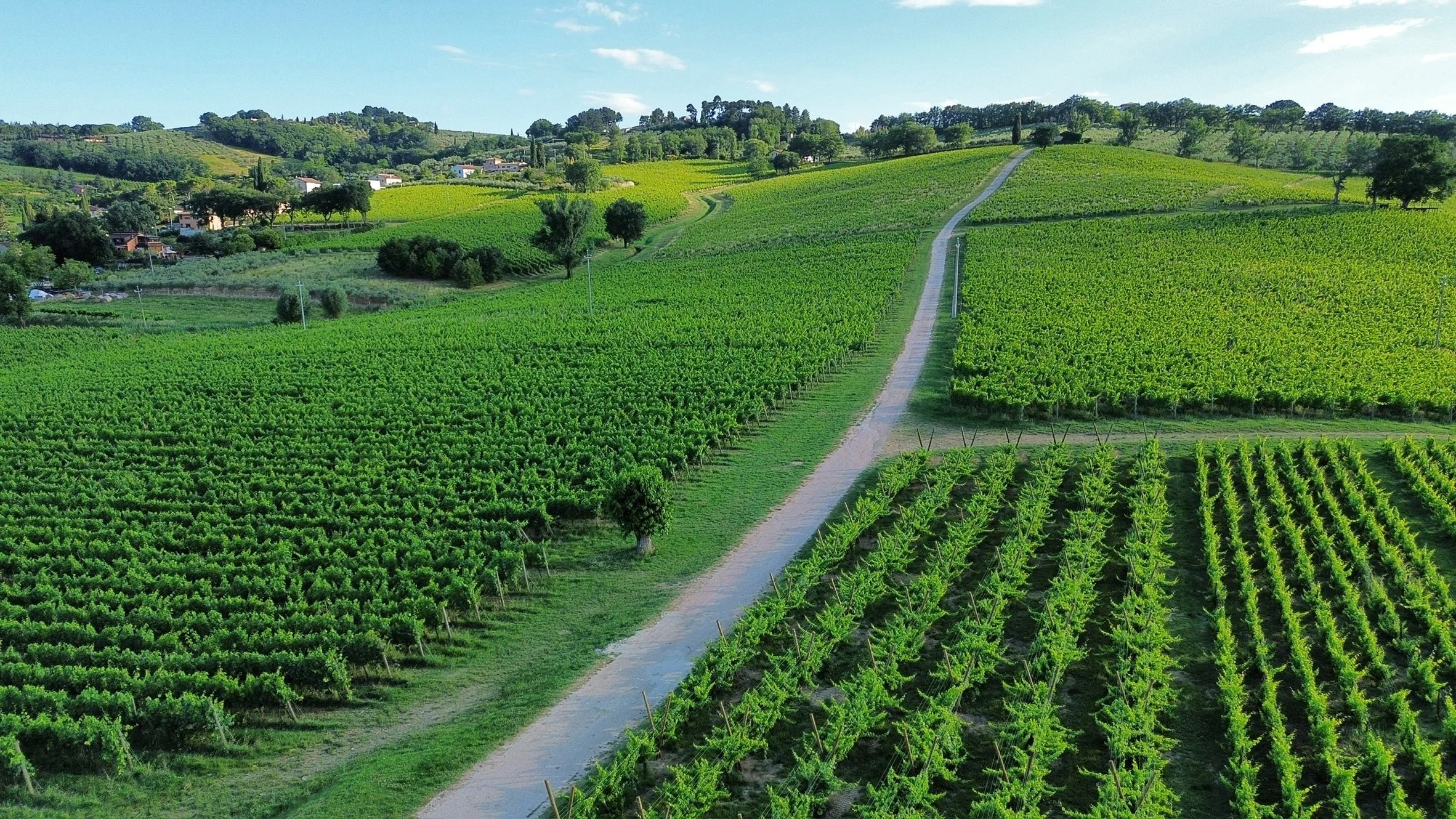 Hills of Umbria - Montefalco 🇮🇹