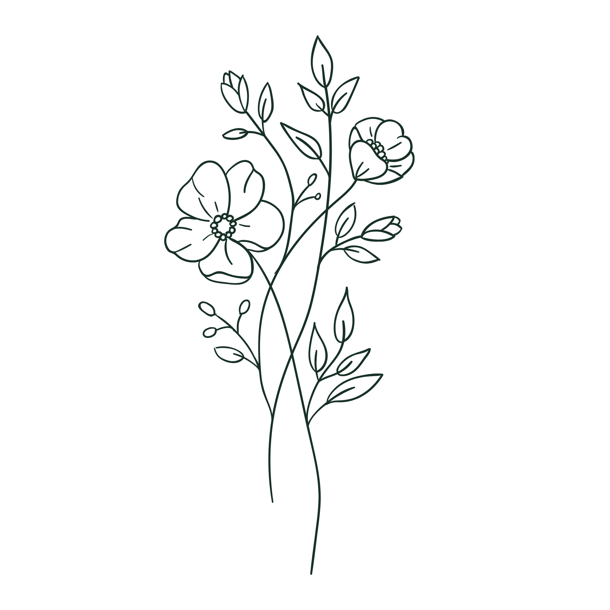 Minimalist line drawing of flowers and leaves on a black background showing Pediatric dentist help to children