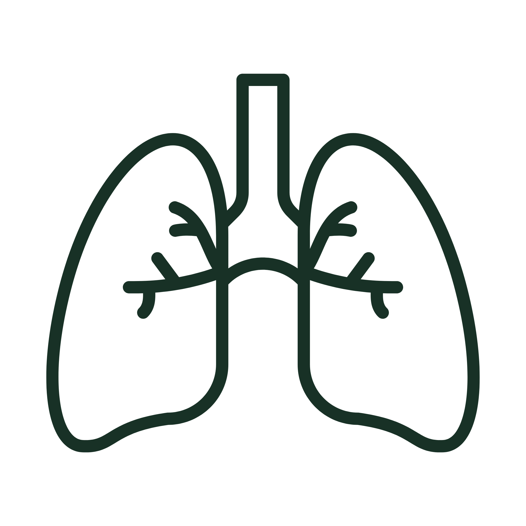 Simple black outline illustration of human lungs, including bronchi, on a plain white background showing airway screening and expansion.