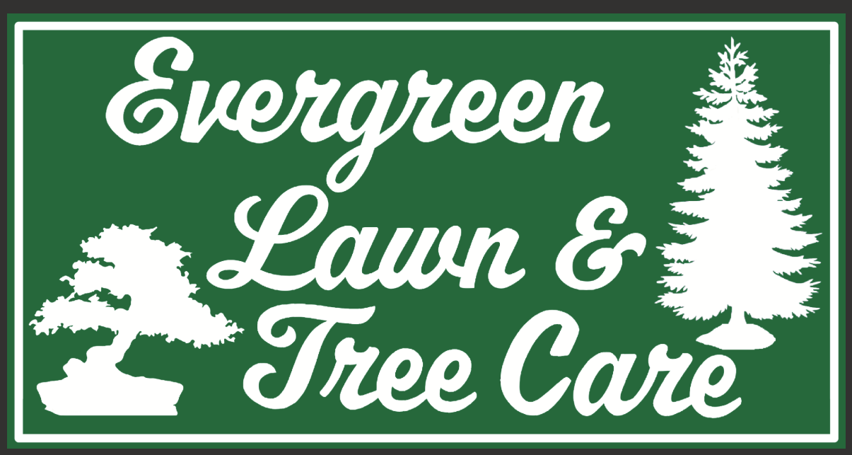 Screenshot 2026-02-17 154024.png