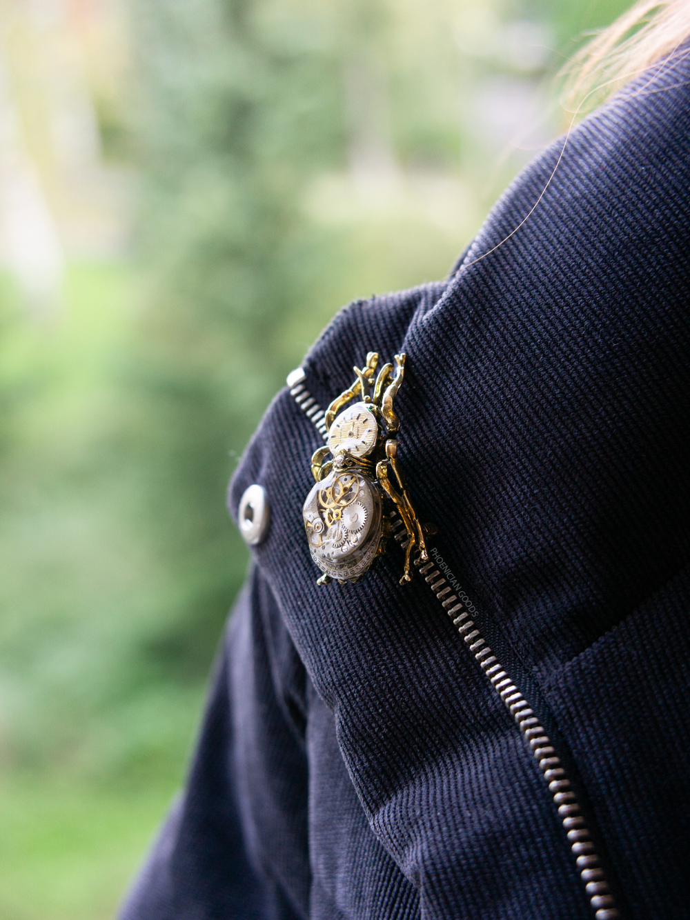 beetle-013.png