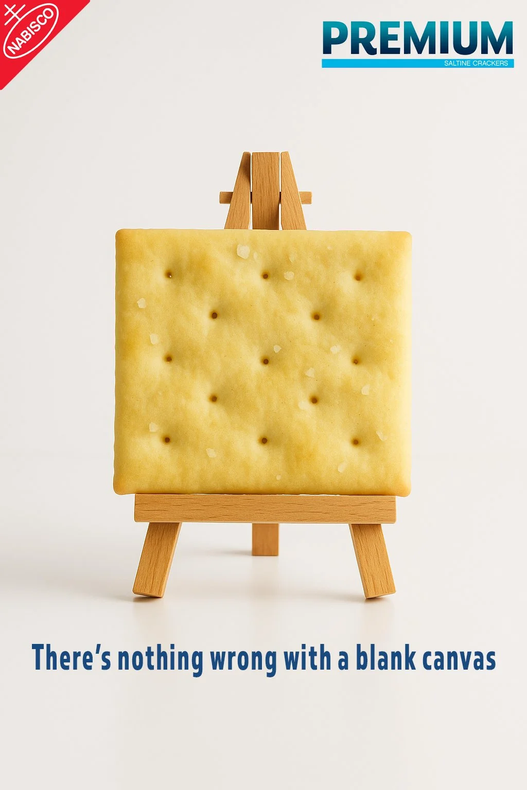 Saltine Canvas copy.jpg