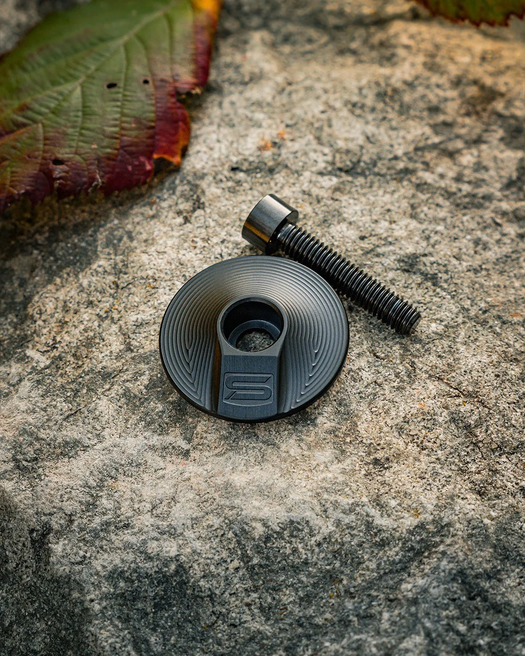 Stem Cap Compressed #1.jpg
