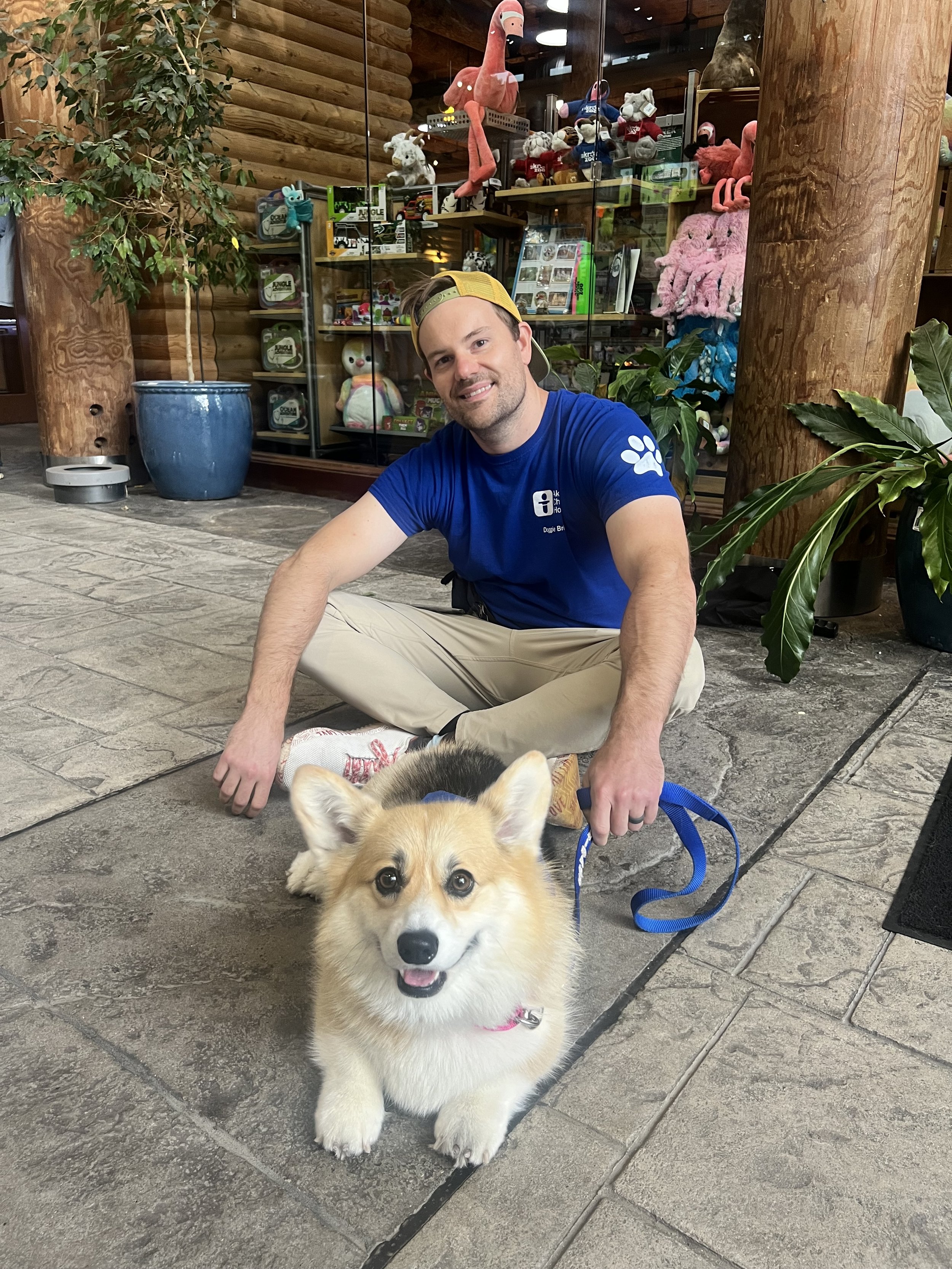 A man sitting on the floor with a smiling corgi dog in front of him, inside a building with a glass display case filled with plush toys, including flamingos, bears, and other stuffed animals. The man is wearing a blue t-shirt, khaki pants, and a yellow cap worn backwards.