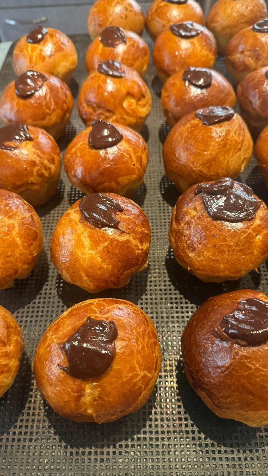 WhatsApp Image 2026-01-18 at 22.18.03 (1).jpeg